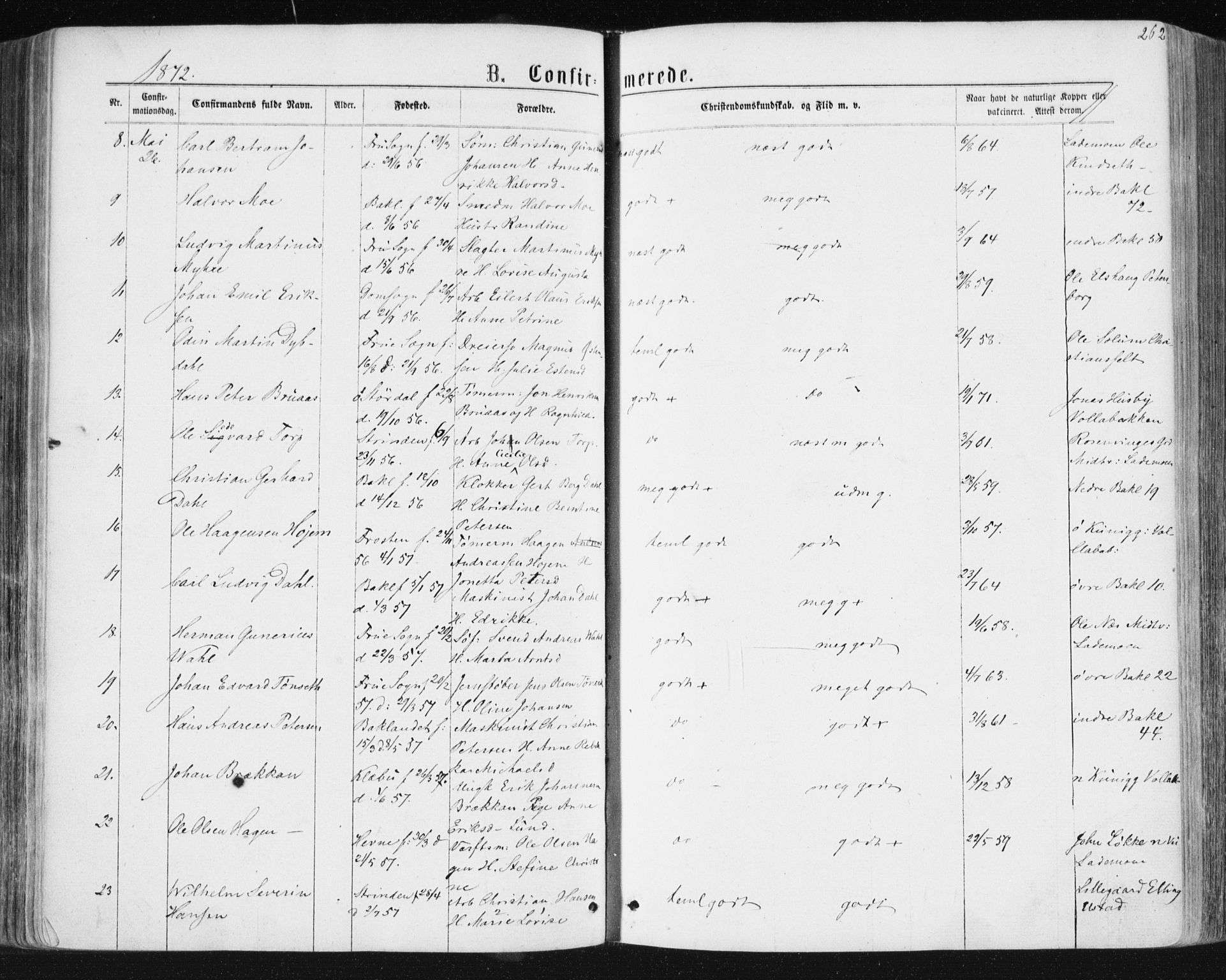 Ministerialprotokoller, klokkerbøker og fødselsregistre - Sør-Trøndelag, SAT/A-1456/604/L0186: Parish register (official) no. 604A07, 1866-1877, p. 262