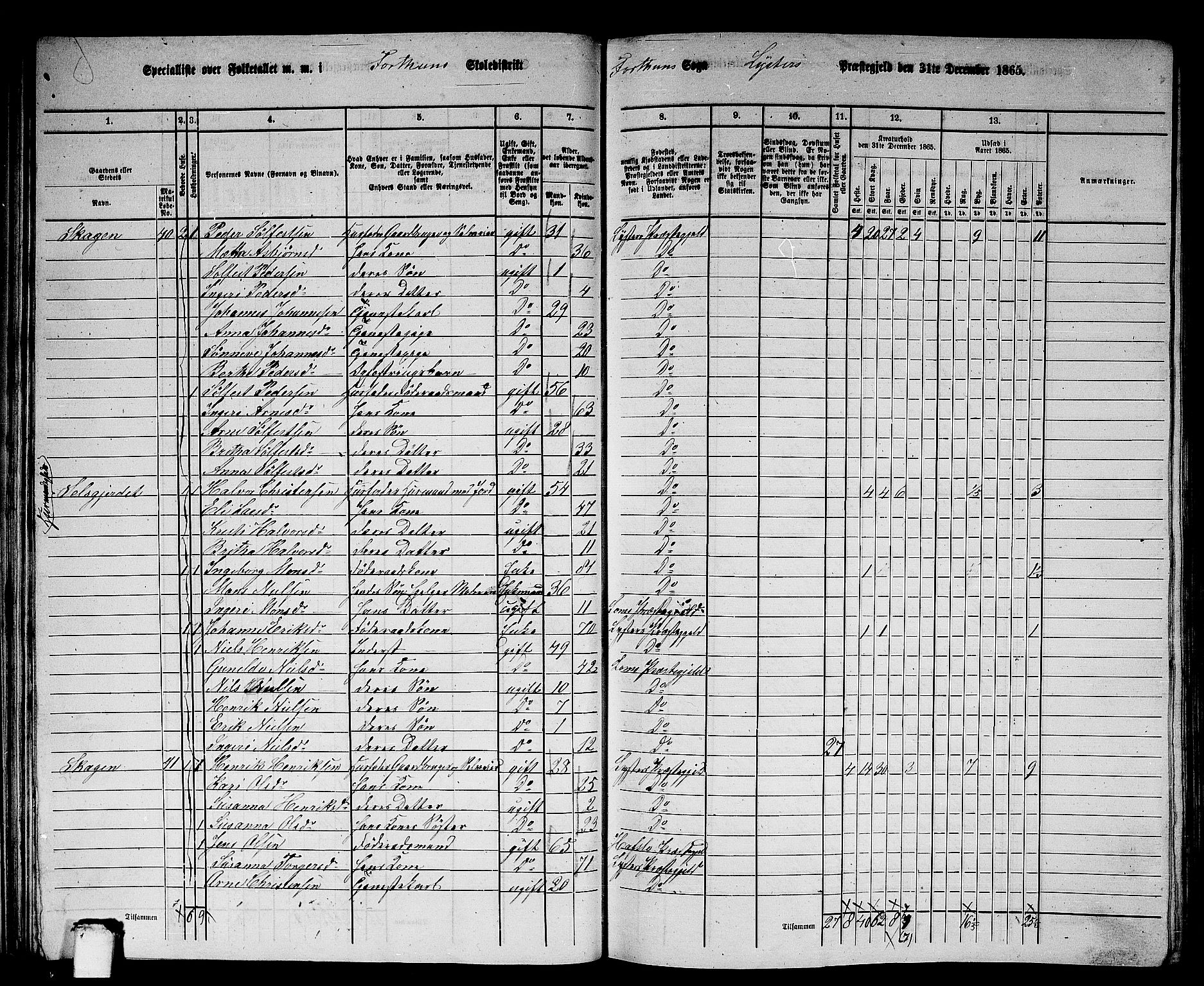 RA, 1865 census for Luster, 1865, p. 38