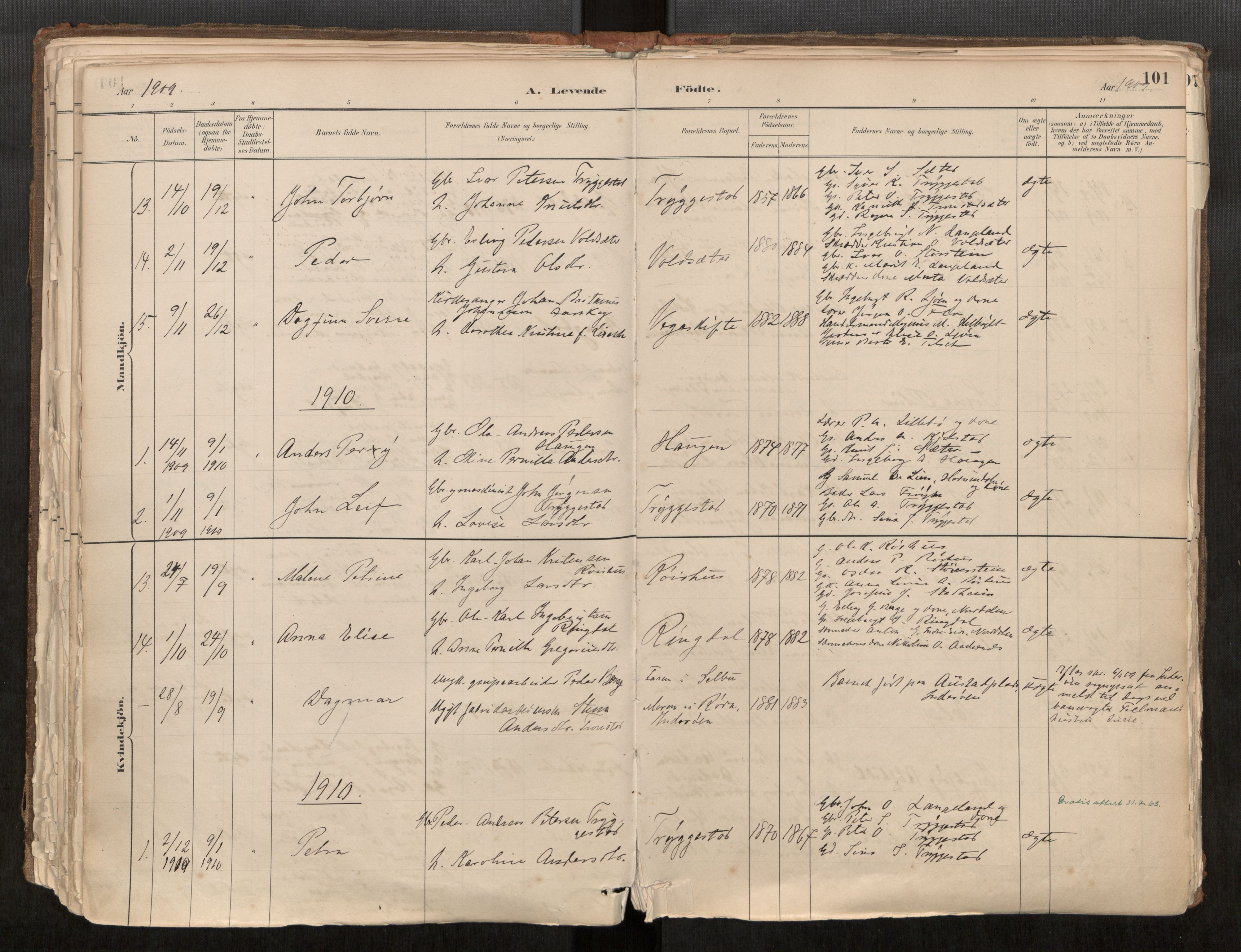 Sunnylven sokneprestkontor, SAT/A-1007: Parish register (official) no. 517A08, 1882-1939, p. 101