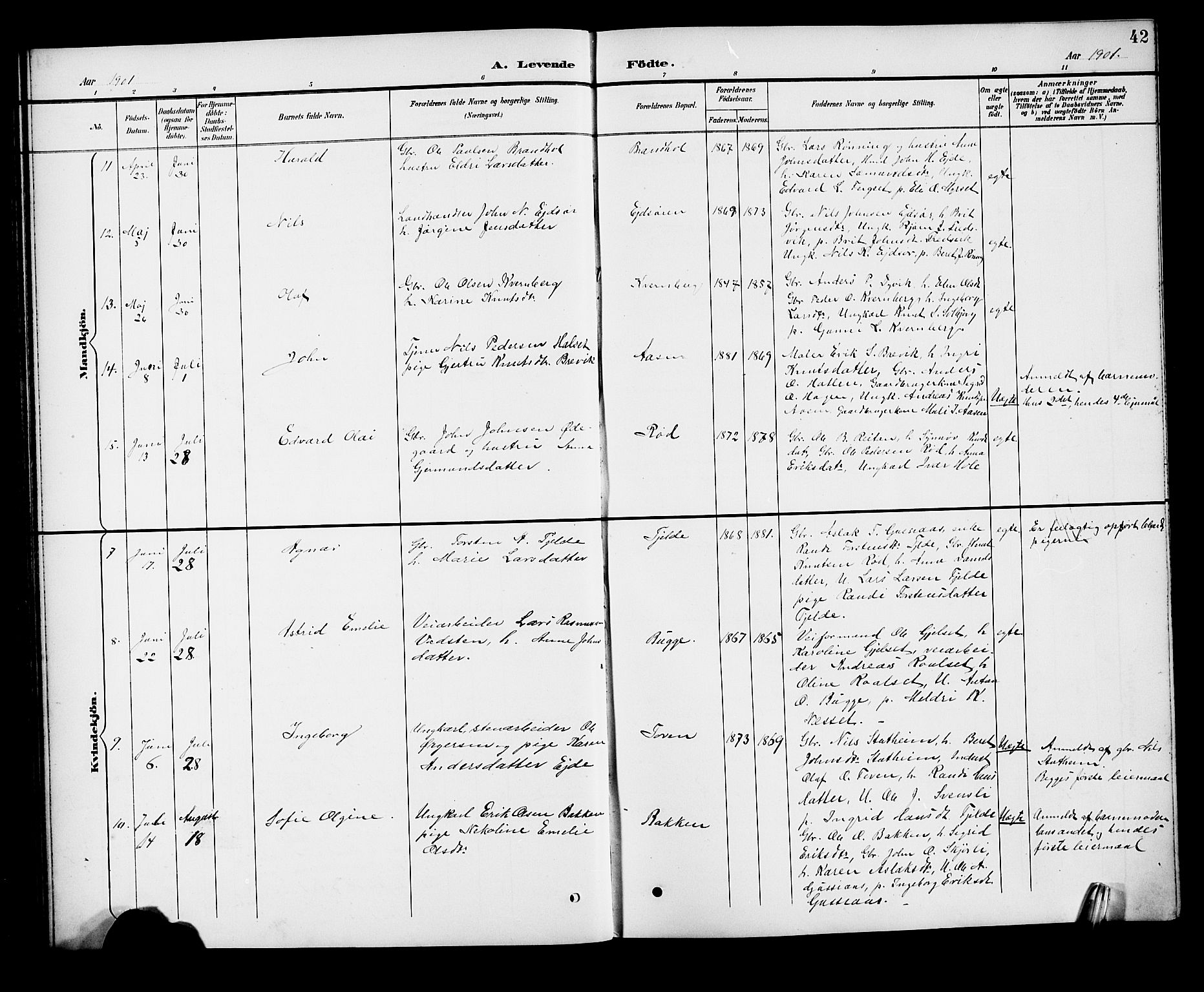 Ministerialprotokoller, klokkerbøker og fødselsregistre - Møre og Romsdal, SAT/A-1454/551/L0632: Parish register (copy) no. 551C04, 1894-1920, p. 42