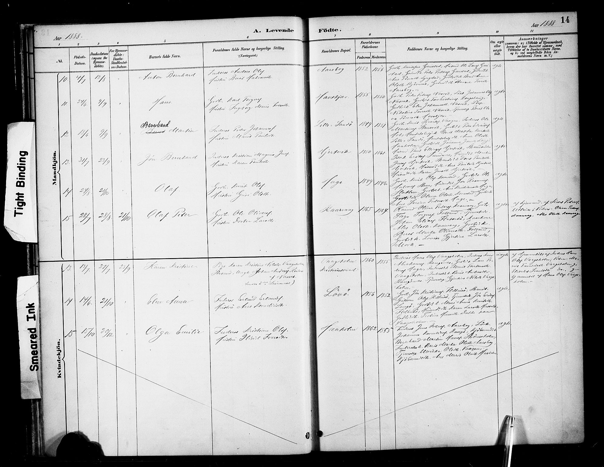 Ministerialprotokoller, klokkerbøker og fødselsregistre - Møre og Romsdal, AV/SAT-A-1454/570/L0832: Parish register (official) no. 570A06, 1885-1900, p. 14