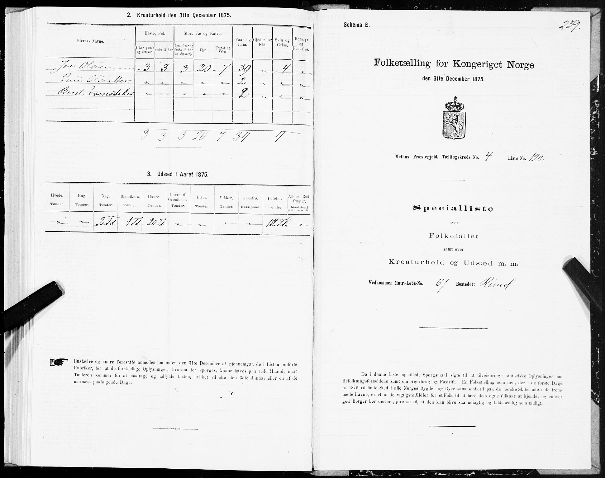 SAT, 1875 census for 1653P Melhus, 1875, p. 3239