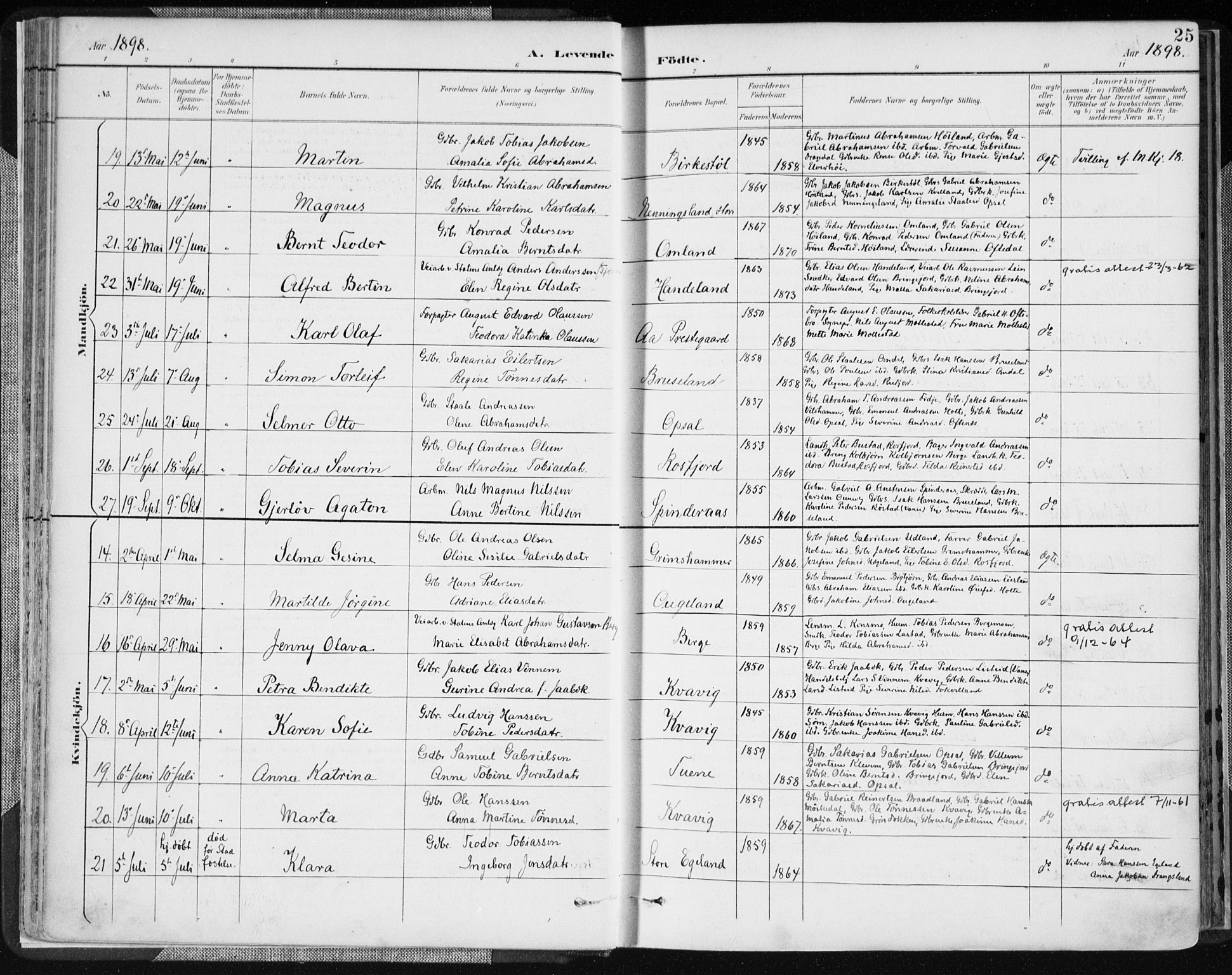 Lyngdal sokneprestkontor, AV/SAK-1111-0029/F/Fa/Fac/L0012: Parish register (official) no. A 12, 1894-1918, p. 25