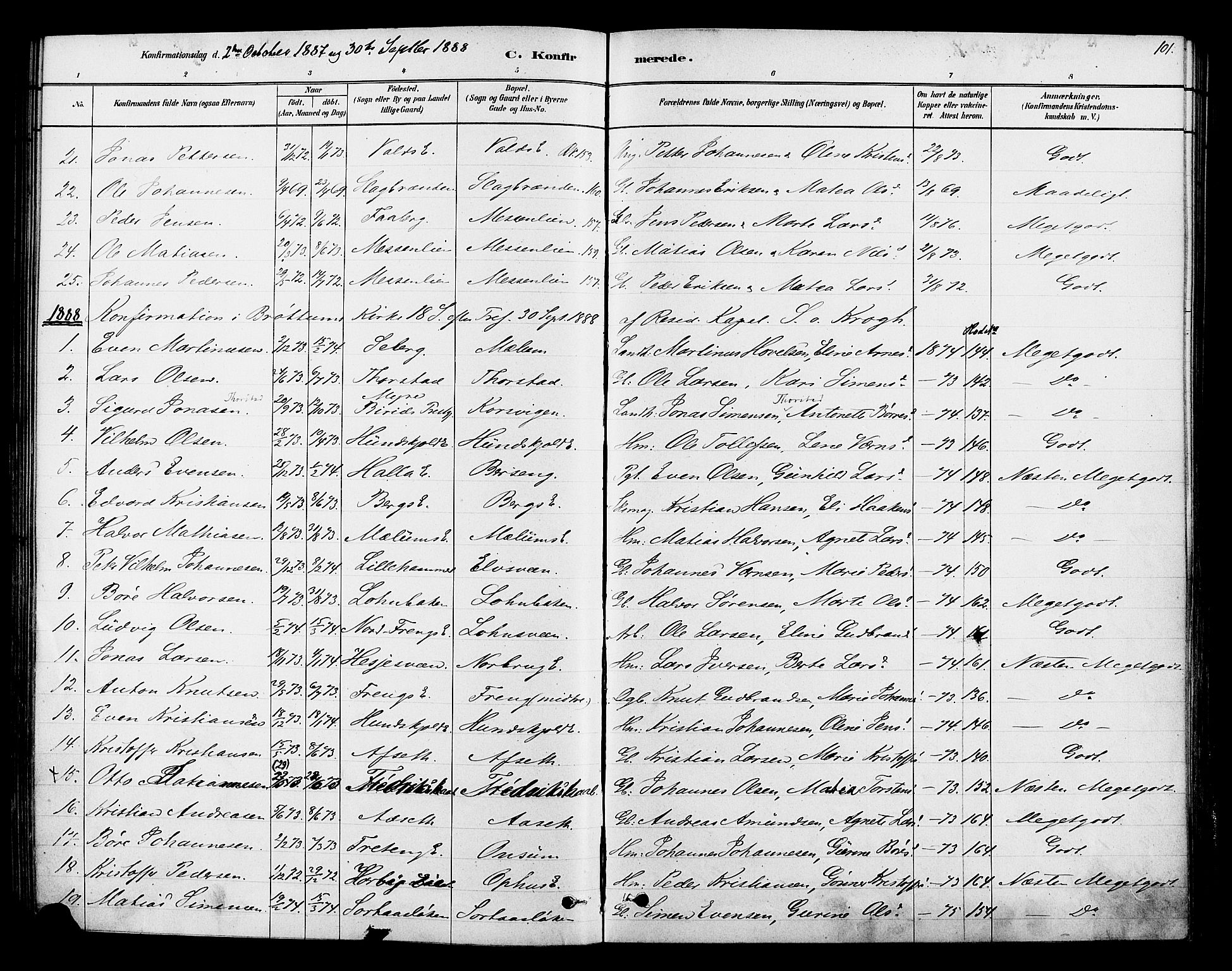 Ringsaker prestekontor, AV/SAH-PREST-014/K/Ka/L0013: Parish register (official) no. 13, 1879-1890, p. 101