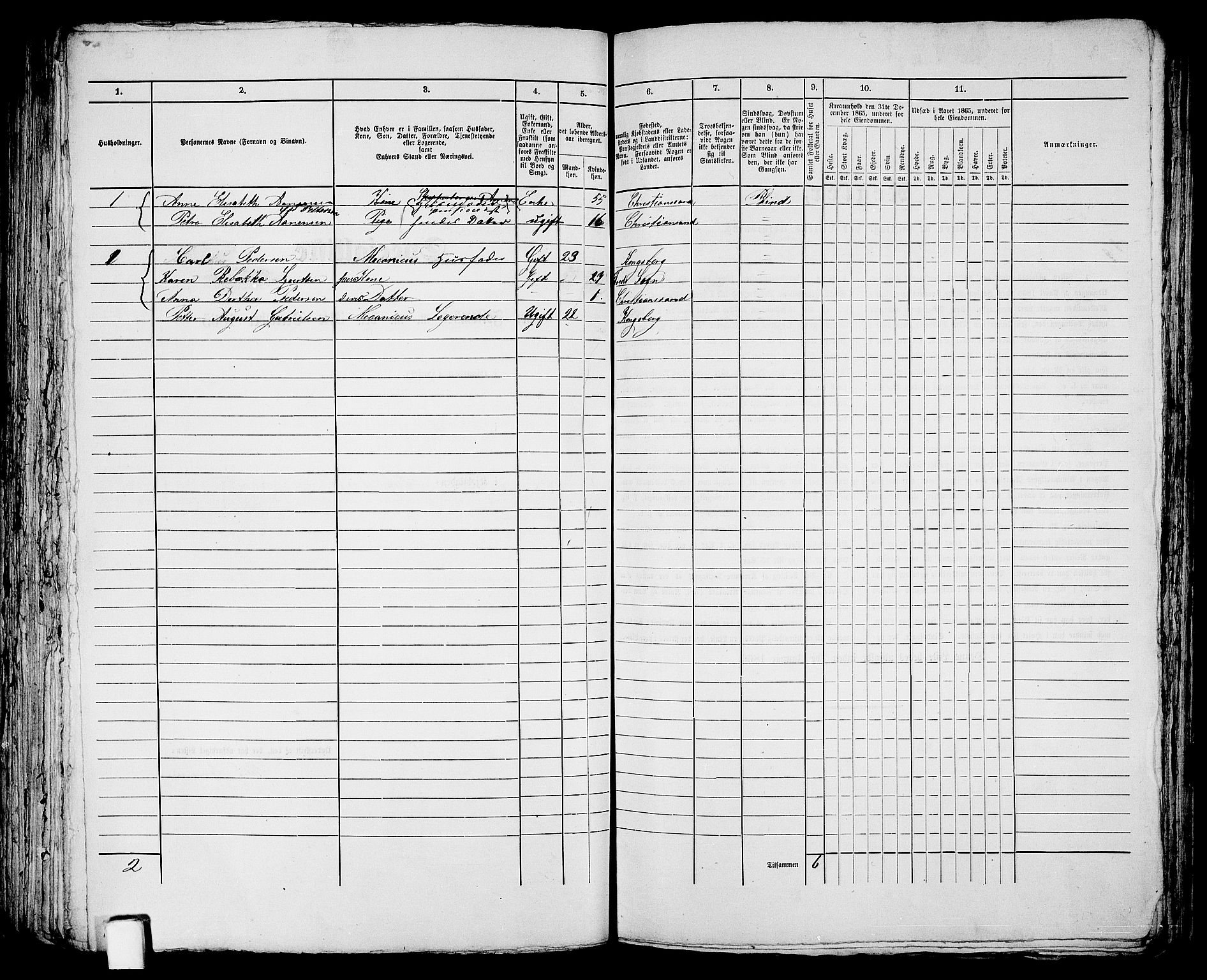 RA, 1865 census for Kristiansand, 1865, p. 1806