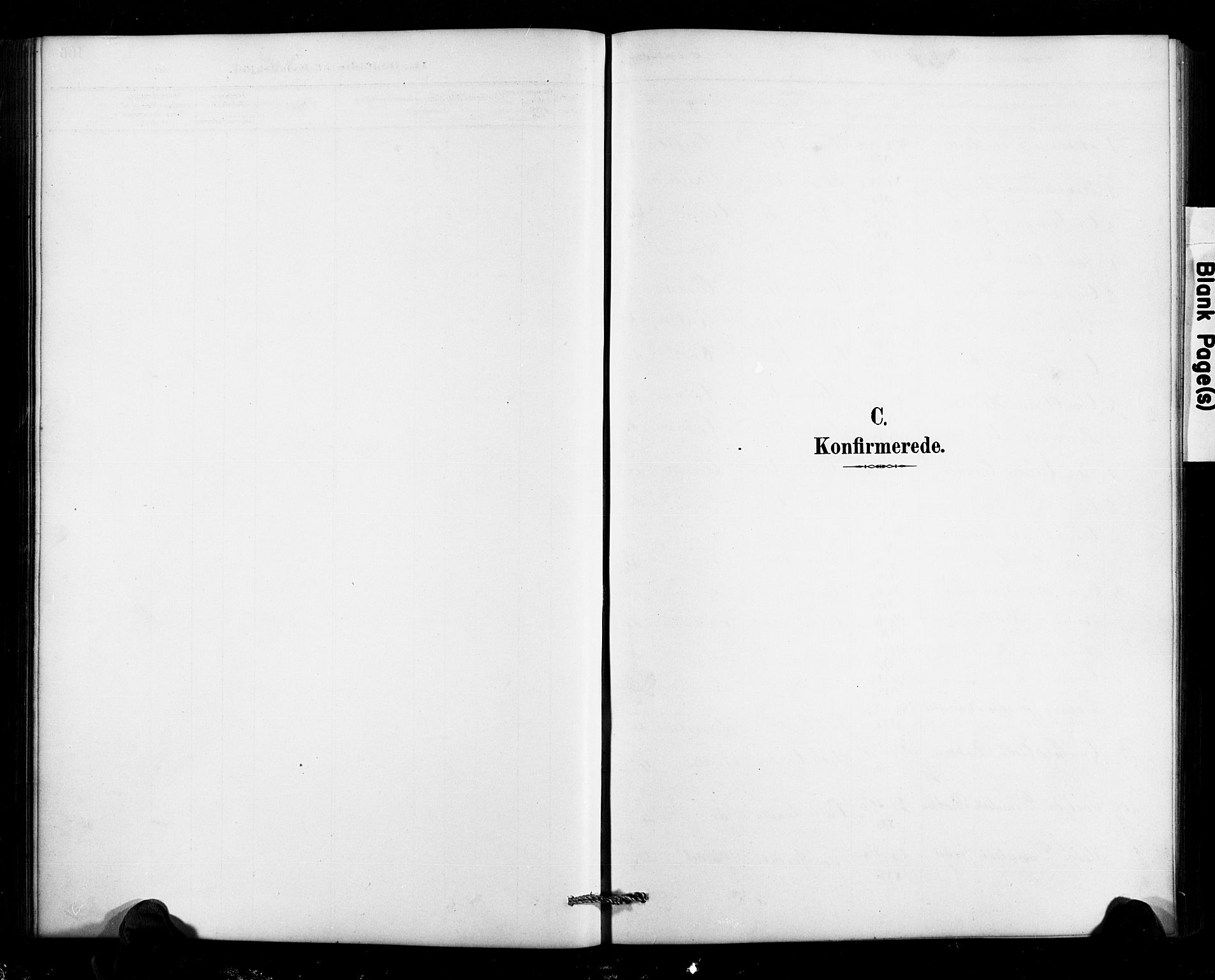 Valle sokneprestkontor, SAK/1111-0044/F/Fb/Fbc/L0004: Parish register (copy) no. B 4, 1890-1928, p. 106