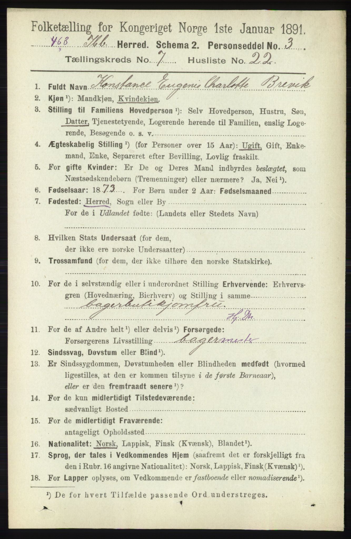 RA, 1891 census for 1917 Ibestad, 1891, p. 4307