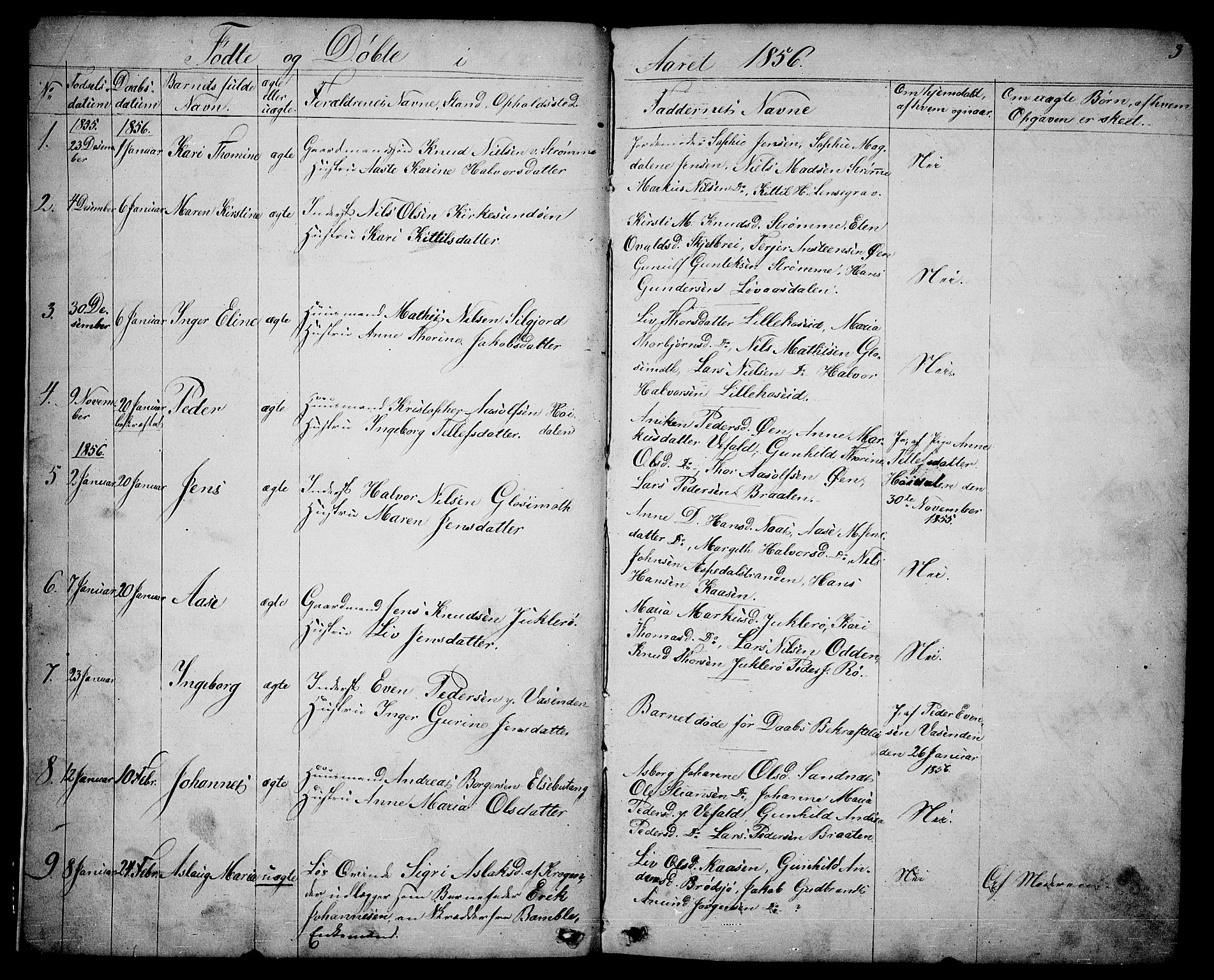 Drangedal kirkebøker, SAKO/A-258/G/Ga/L0002: Parish register (copy) no. I 2, 1856-1887, p. 3
