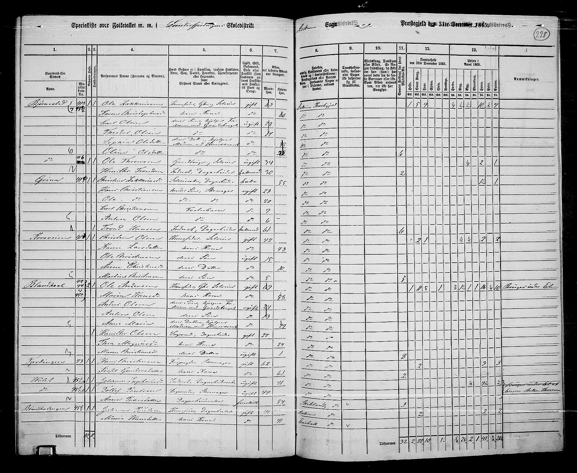 RA, 1865 census for Askim, 1865, p. 85