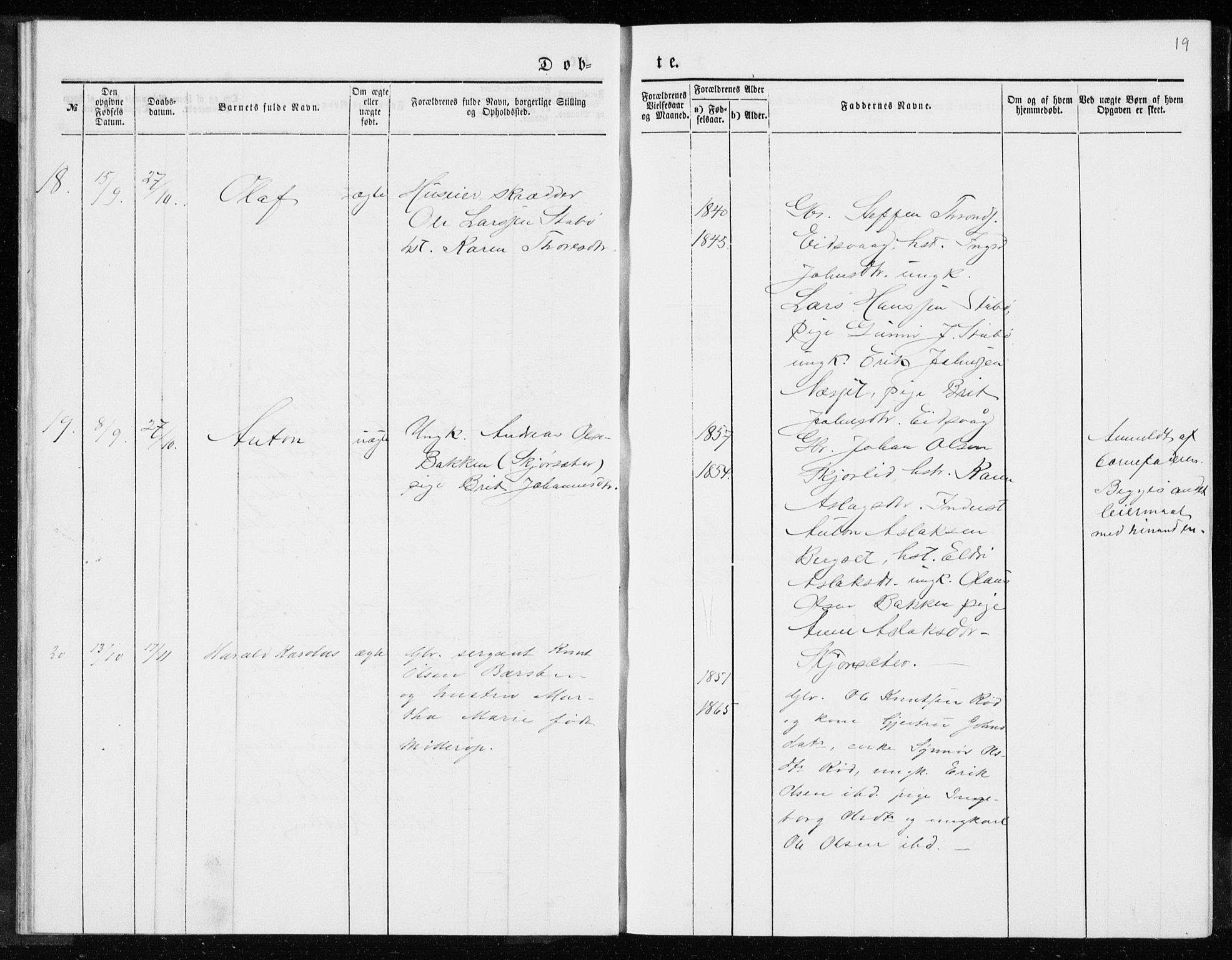 Ministerialprotokoller, klokkerbøker og fødselsregistre - Møre og Romsdal, AV/SAT-A-1454/551/L0631: Parish register (copy) no. 551C03, 1886-1894, p. 19