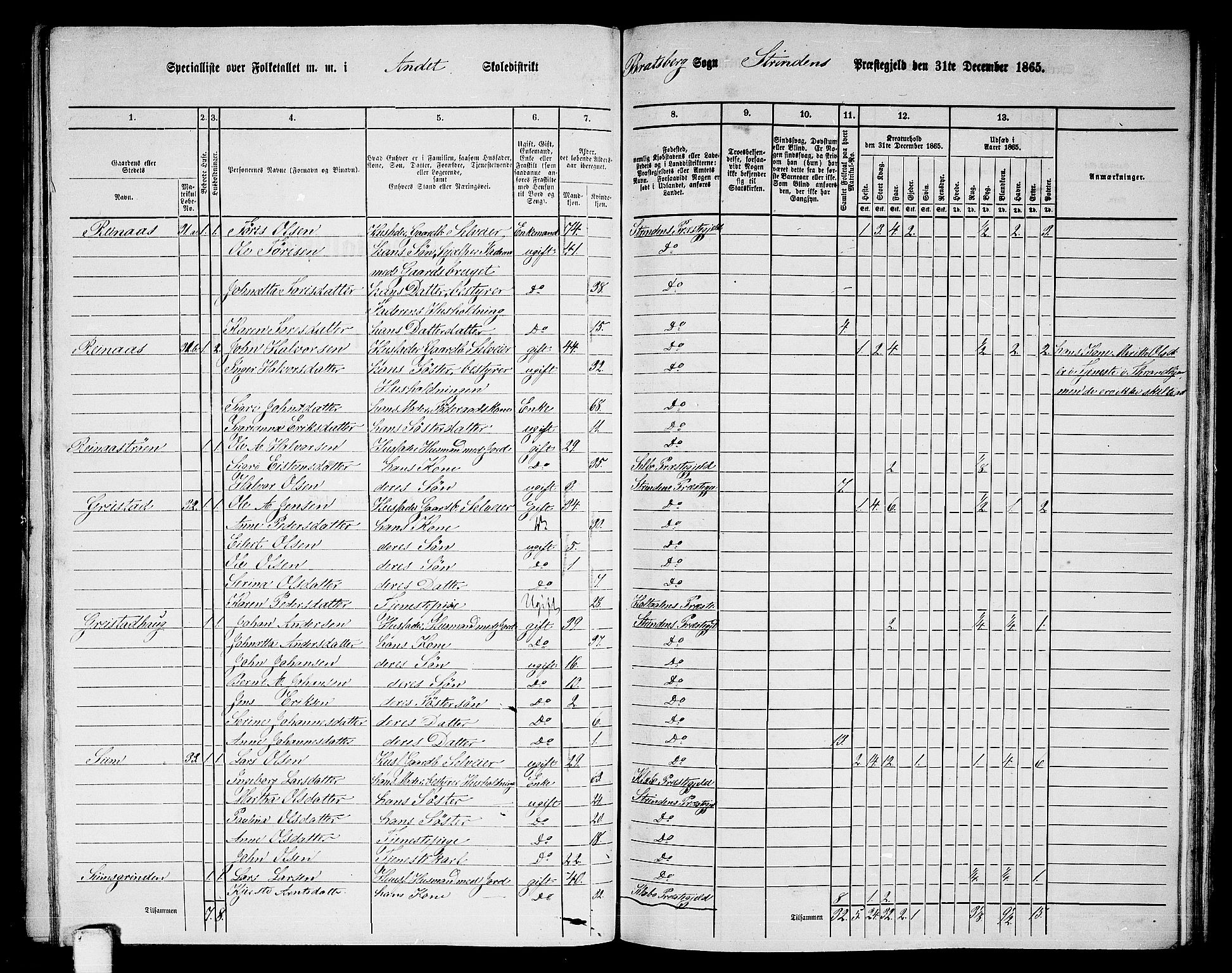 RA, 1865 census for Strinda, 1865, p. 174