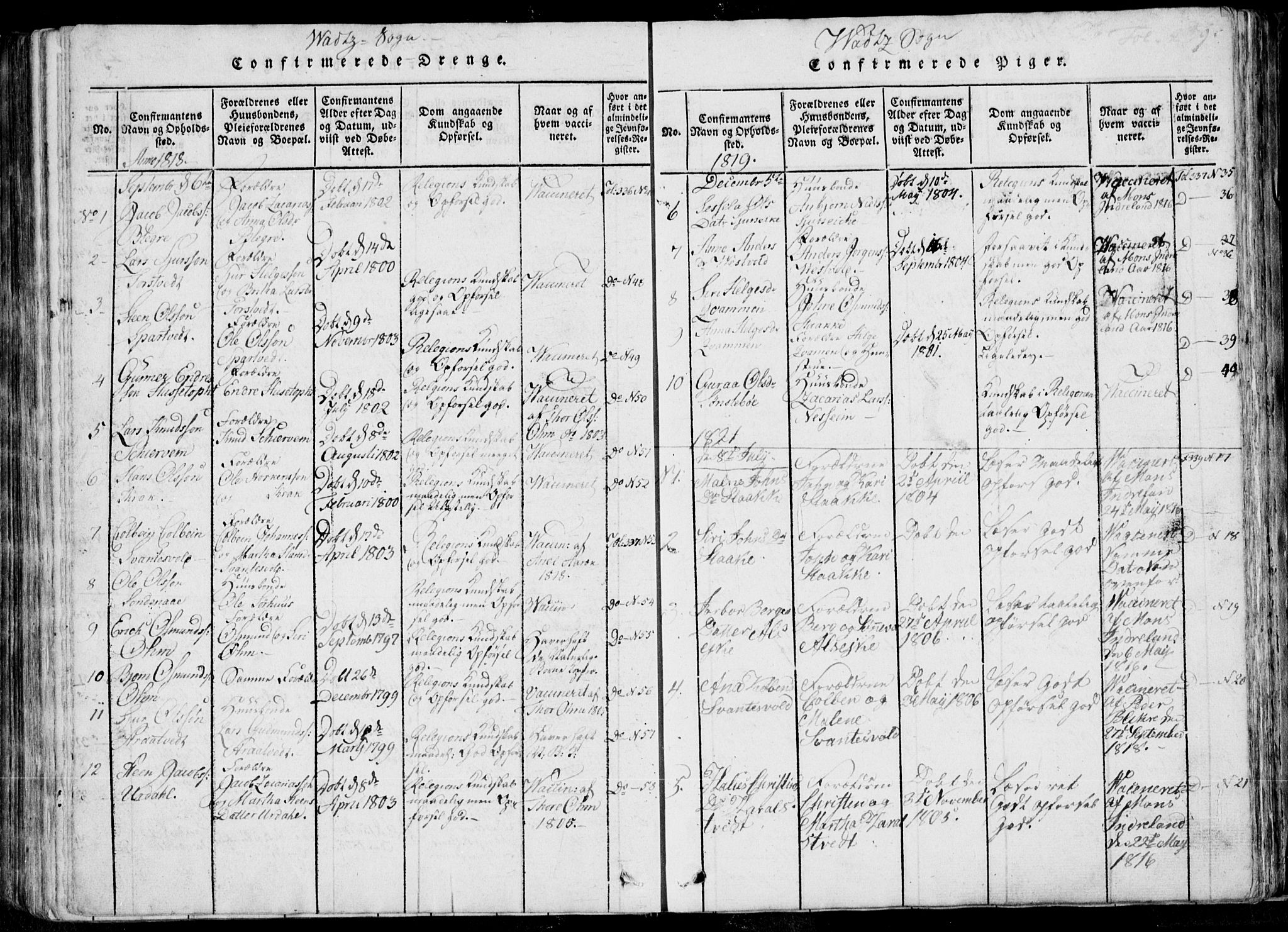 Skjold sokneprestkontor, AV/SAST-A-101847/H/Ha/Haa/L0004: Parish register (official) no. A 4 /2, 1815-1830, p. 239