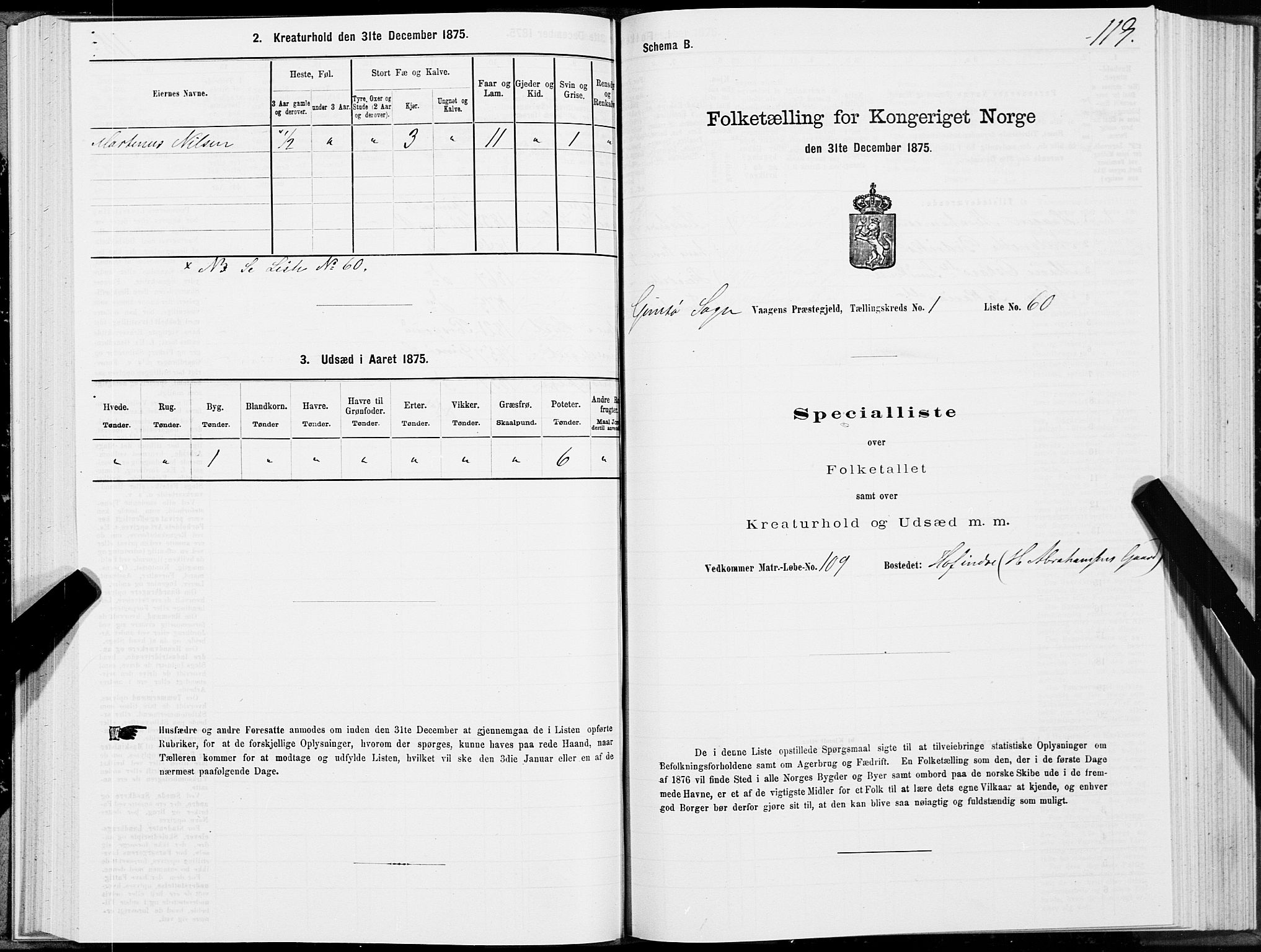 SAT, 1875 census for 1865P Vågan, 1875, p. 5119