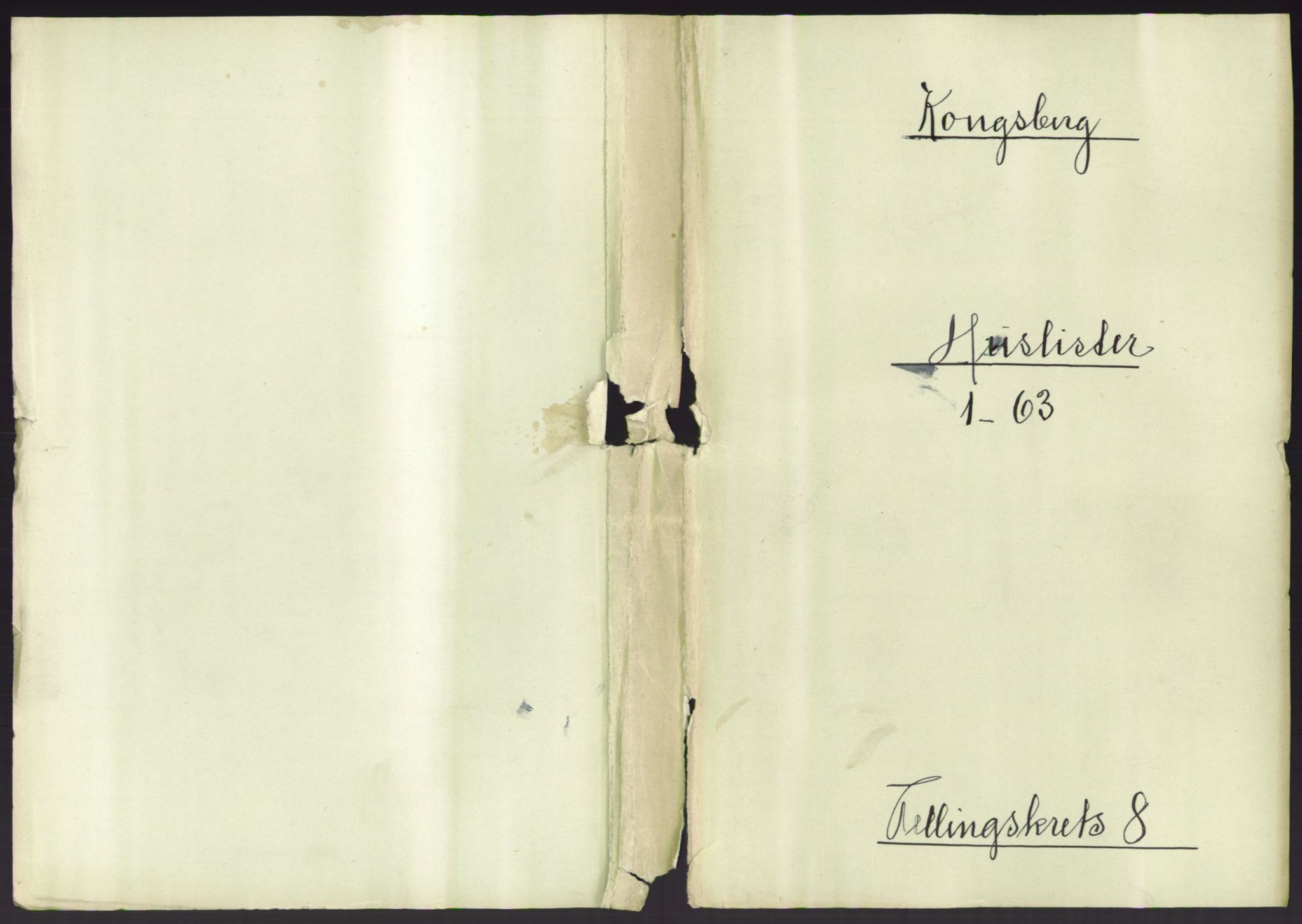 RA, 1891 census for 0604 Kongsberg, 1891, p. 1089