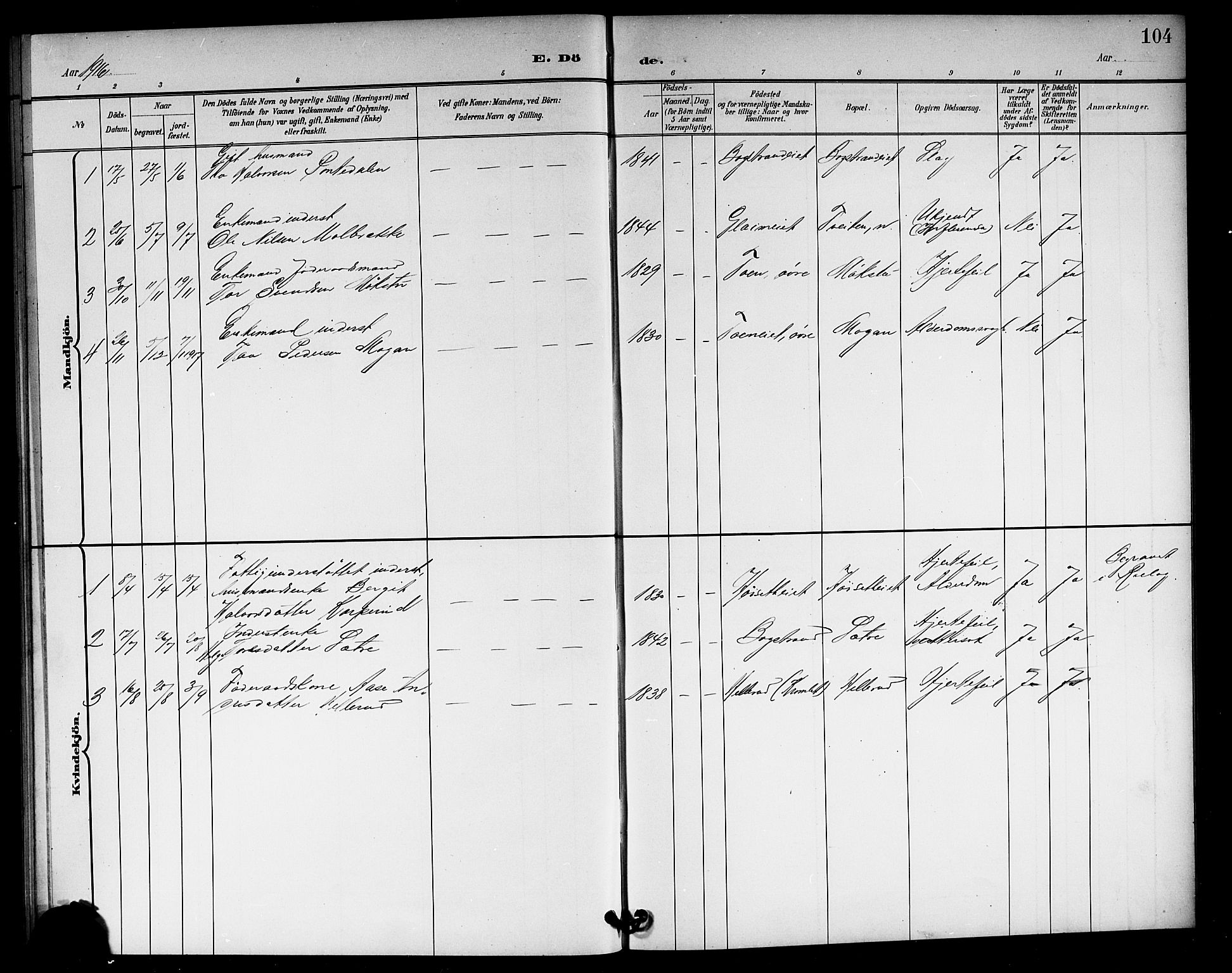 Rollag kirkebøker, SAKO/A-240/G/Gb/L0003: Parish register (copy) no. II 3, 1897-1919, p. 104