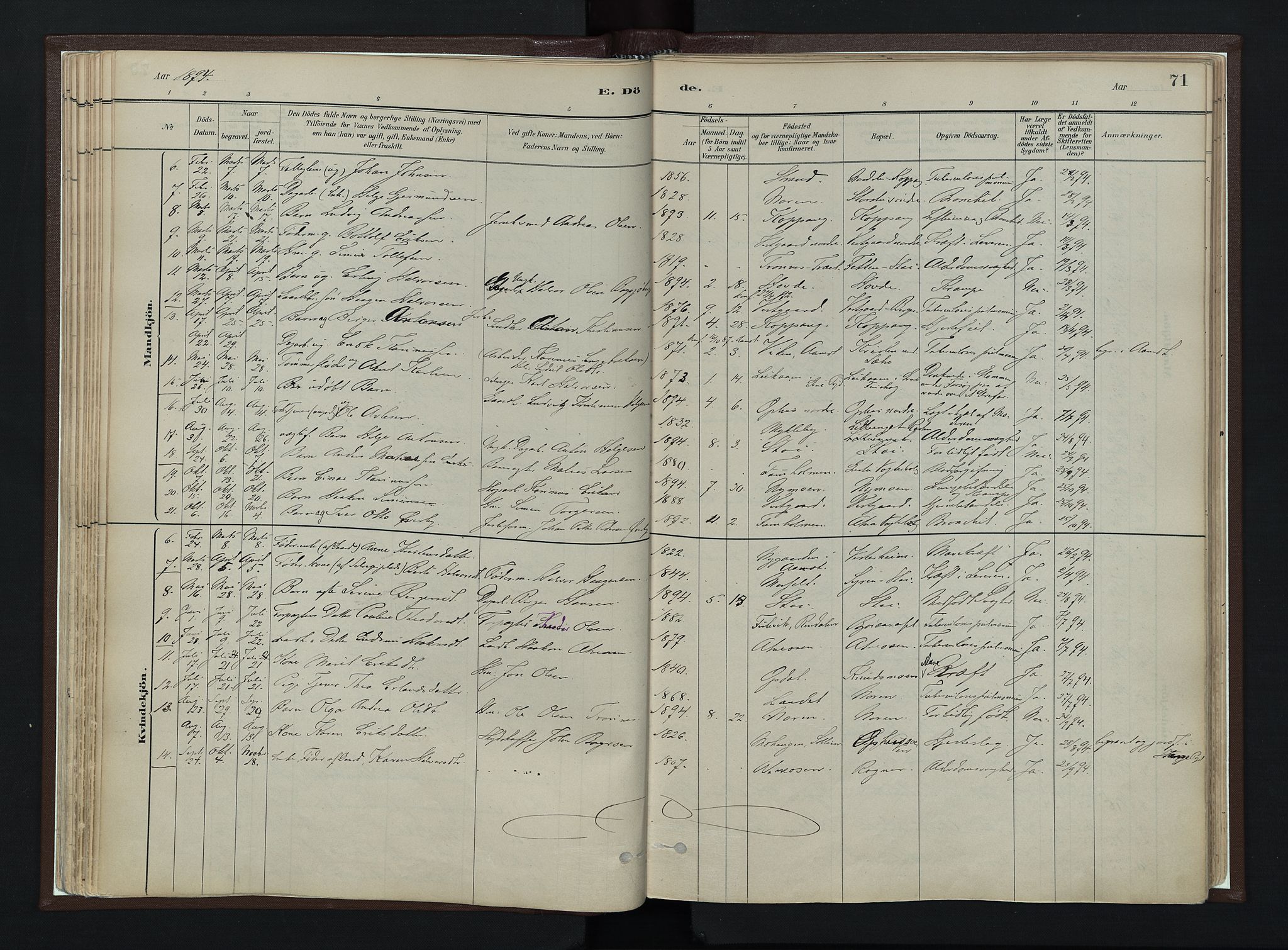 Stor-Elvdal prestekontor, AV/SAH-PREST-052/H/Ha/Haa/L0003: Parish register (official) no. 3, 1882-1901, p. 71