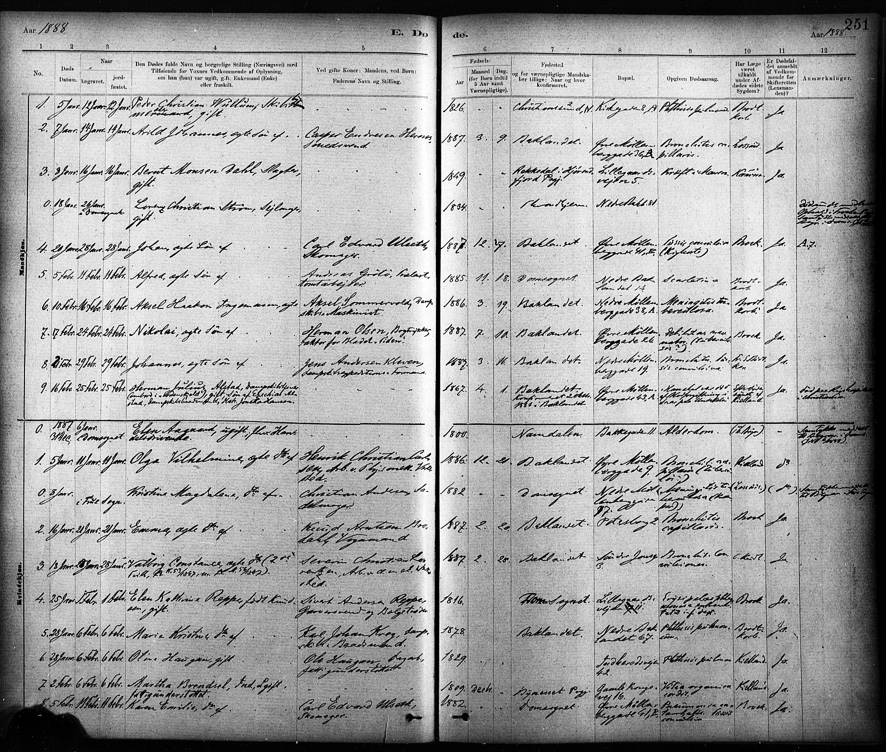 Ministerialprotokoller, klokkerbøker og fødselsregistre - Sør-Trøndelag, SAT/A-1456/604/L0189: Parish register (official) no. 604A10, 1878-1892, p. 251