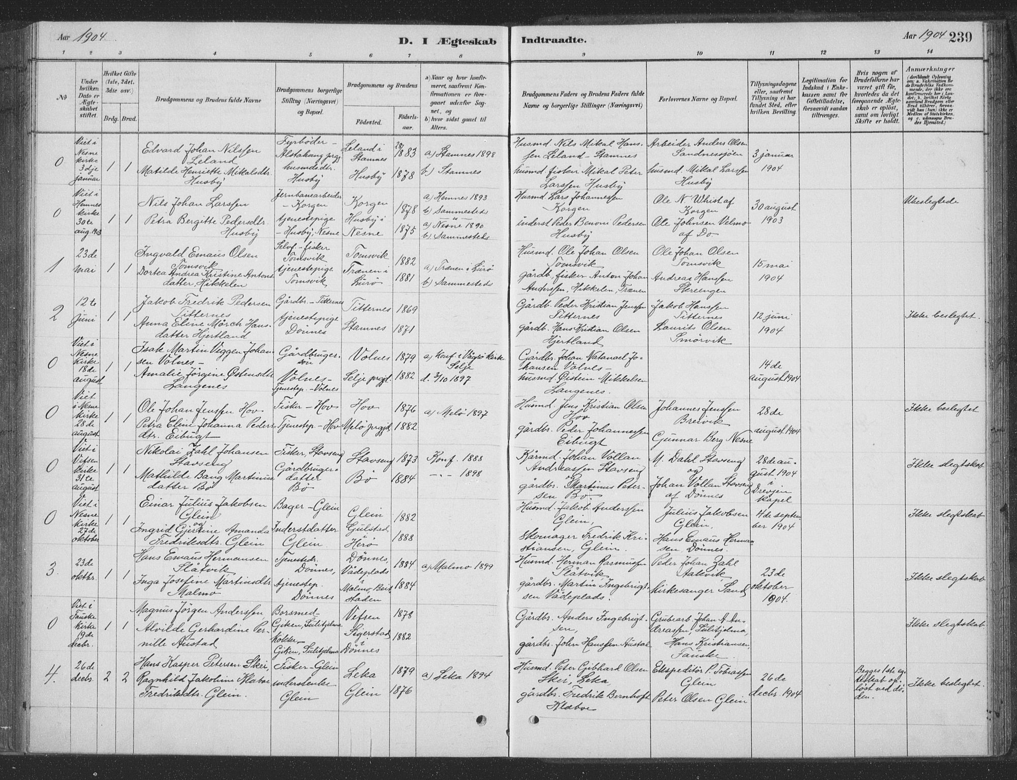 Ministerialprotokoller, klokkerbøker og fødselsregistre - Nordland, SAT/A-1459/835/L0532: Parish register (copy) no. 835C04, 1880-1905, p. 239