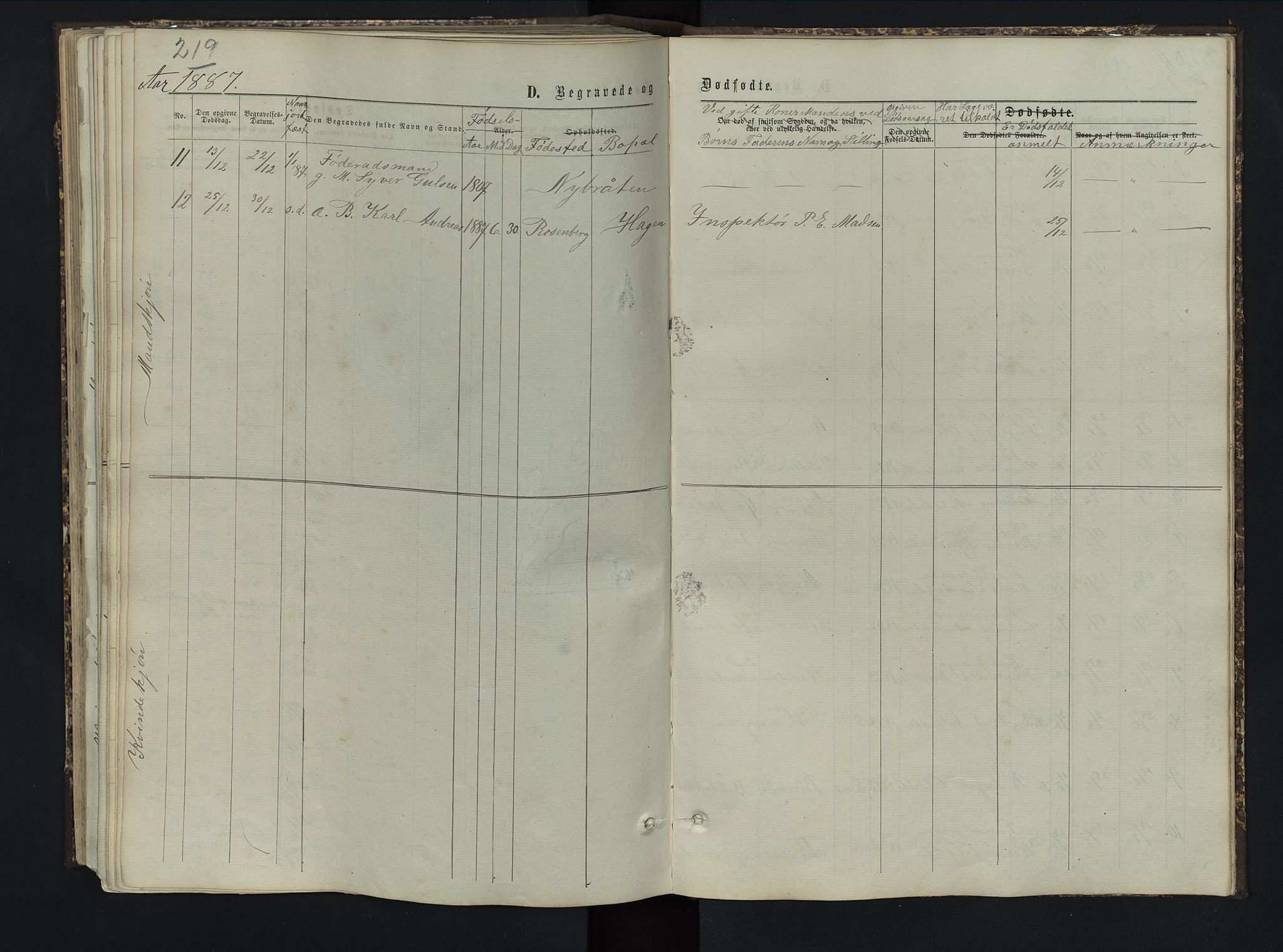 Sør-Aurdal prestekontor, SAH/PREST-128/H/Ha/Hab/L0005: Parish register (copy) no. 5, 1866-1893, p. 219