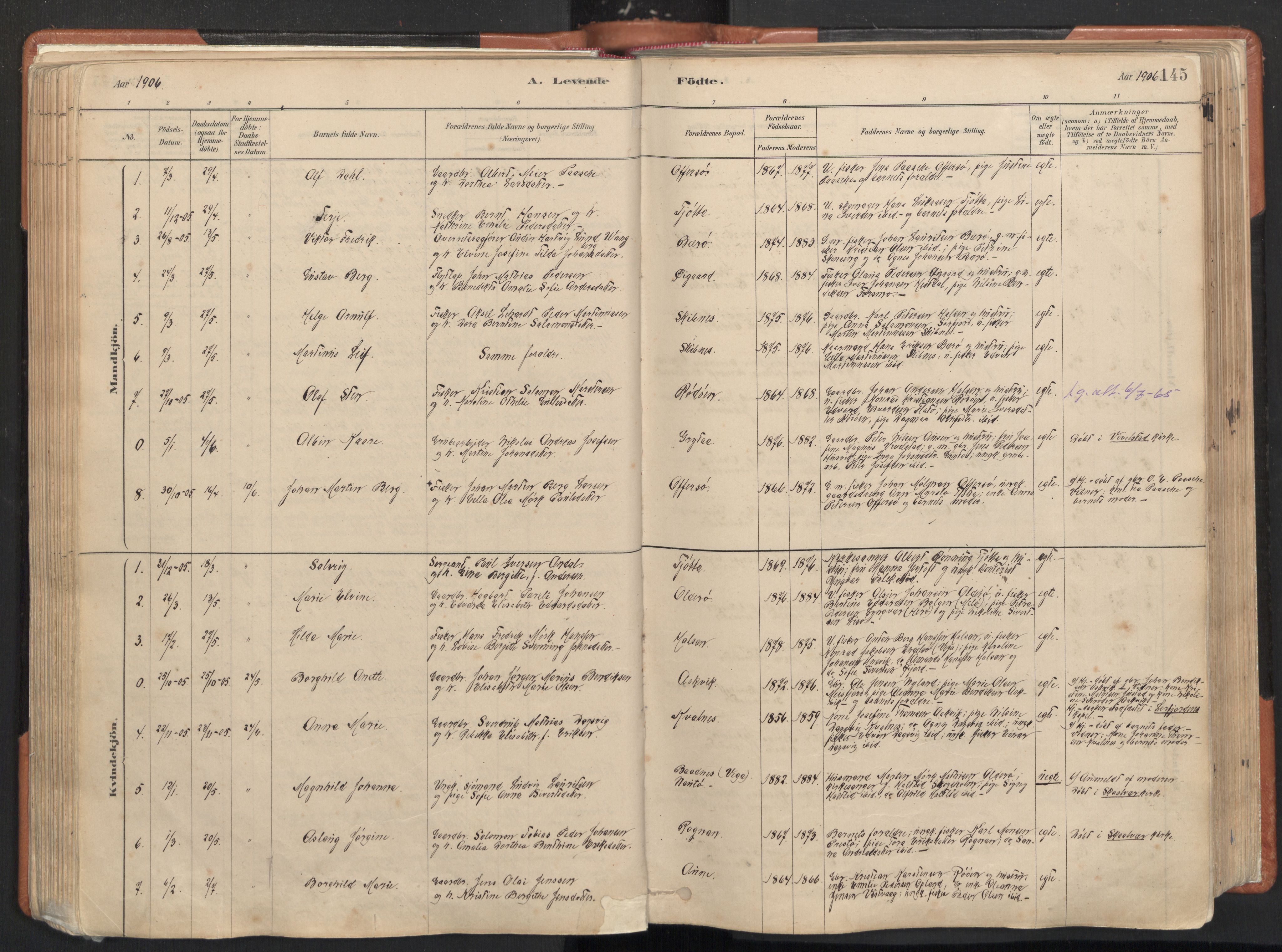 Ministerialprotokoller, klokkerbøker og fødselsregistre - Nordland, SAT/A-1459/817/L0264: Parish register (official) no. 817A04, 1878-1907, p. 145