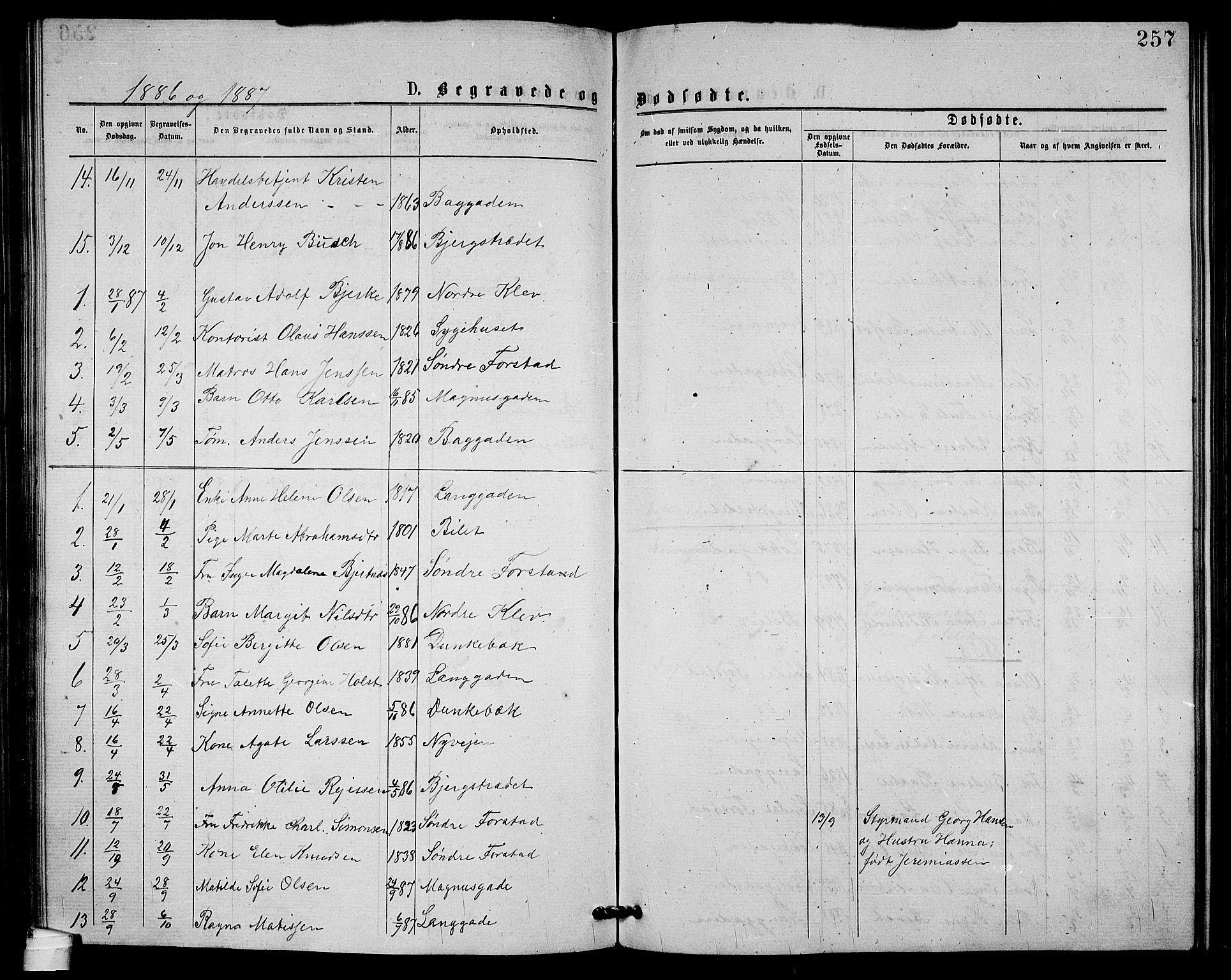 Holmestrand kirkebøker, AV/SAKO-A-346/G/Ga/L0004: Parish register (copy) no. 4, 1874-1888, p. 257