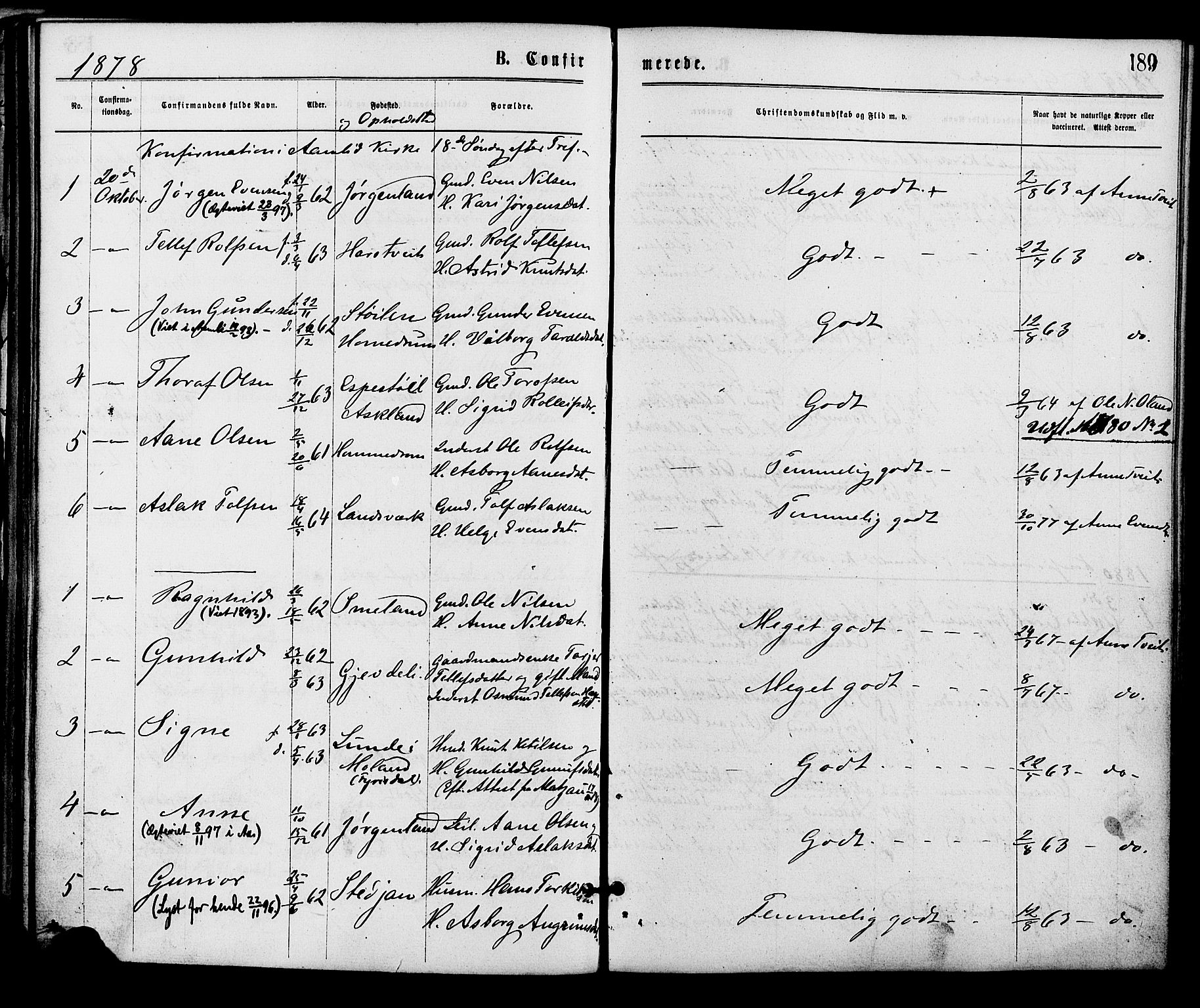 Åmli sokneprestkontor, AV/SAK-1111-0050/F/Fa/Fac/L0009: Parish register (official) no. A 9 /2, 1869-1884, p. 189