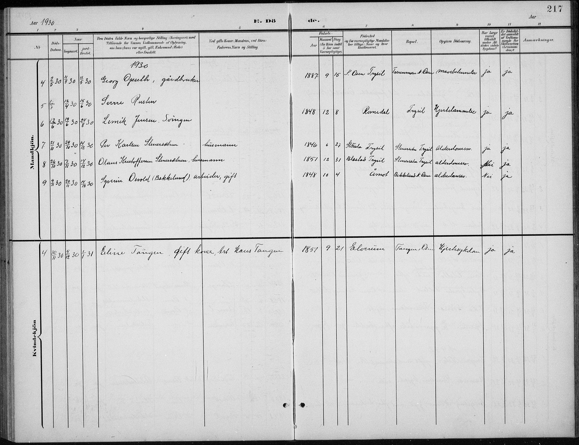 Åmot prestekontor, Hedmark, SAH/PREST-056/H/Ha/Hab/L0003: Parish register (copy) no. 3, 1902-1938, p. 217