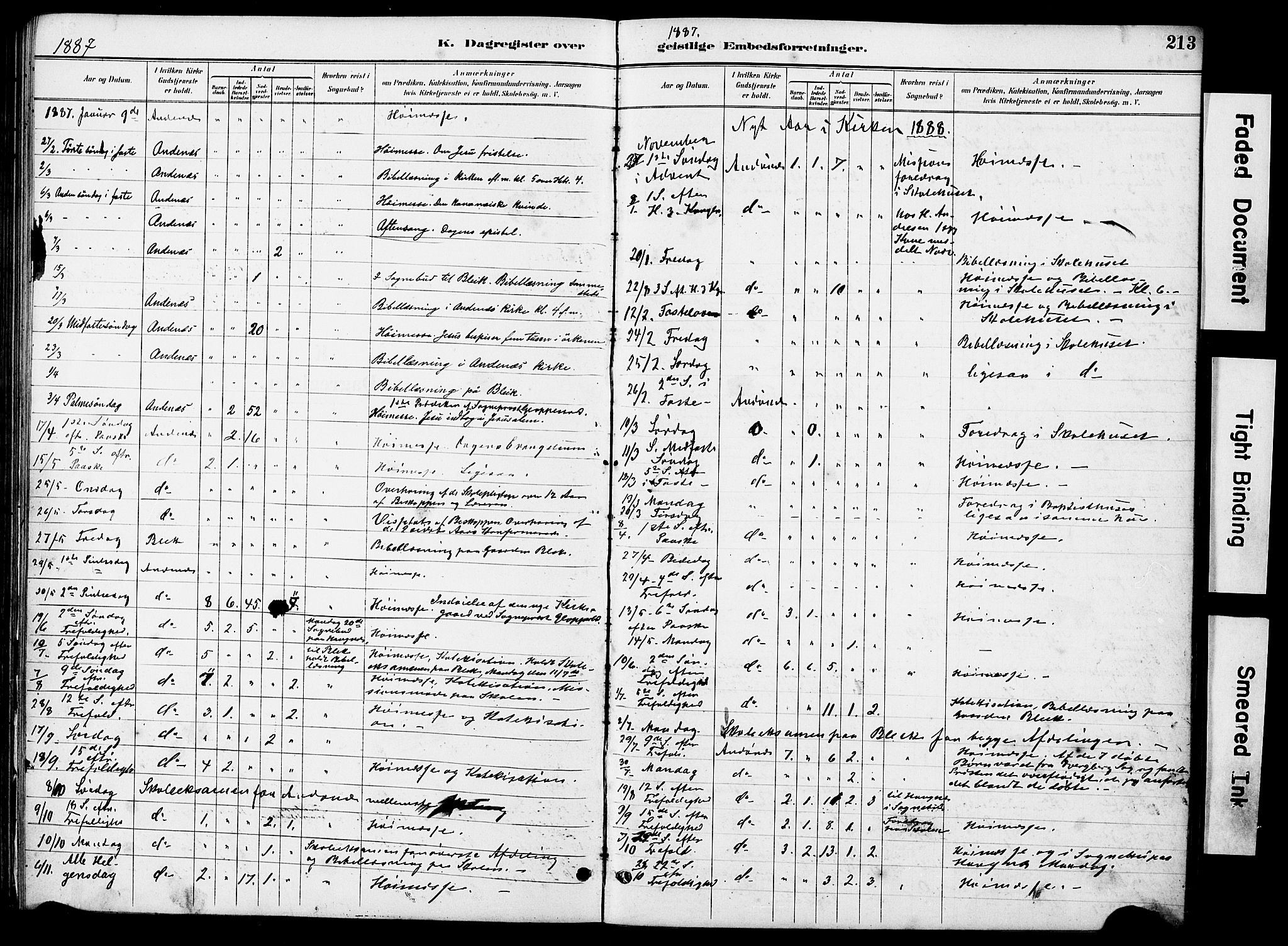 Ministerialprotokoller, klokkerbøker og fødselsregistre - Nordland, AV/SAT-A-1459/899/L1448: Parish register (copy) no. 899C03, 1887-1902, p. 213