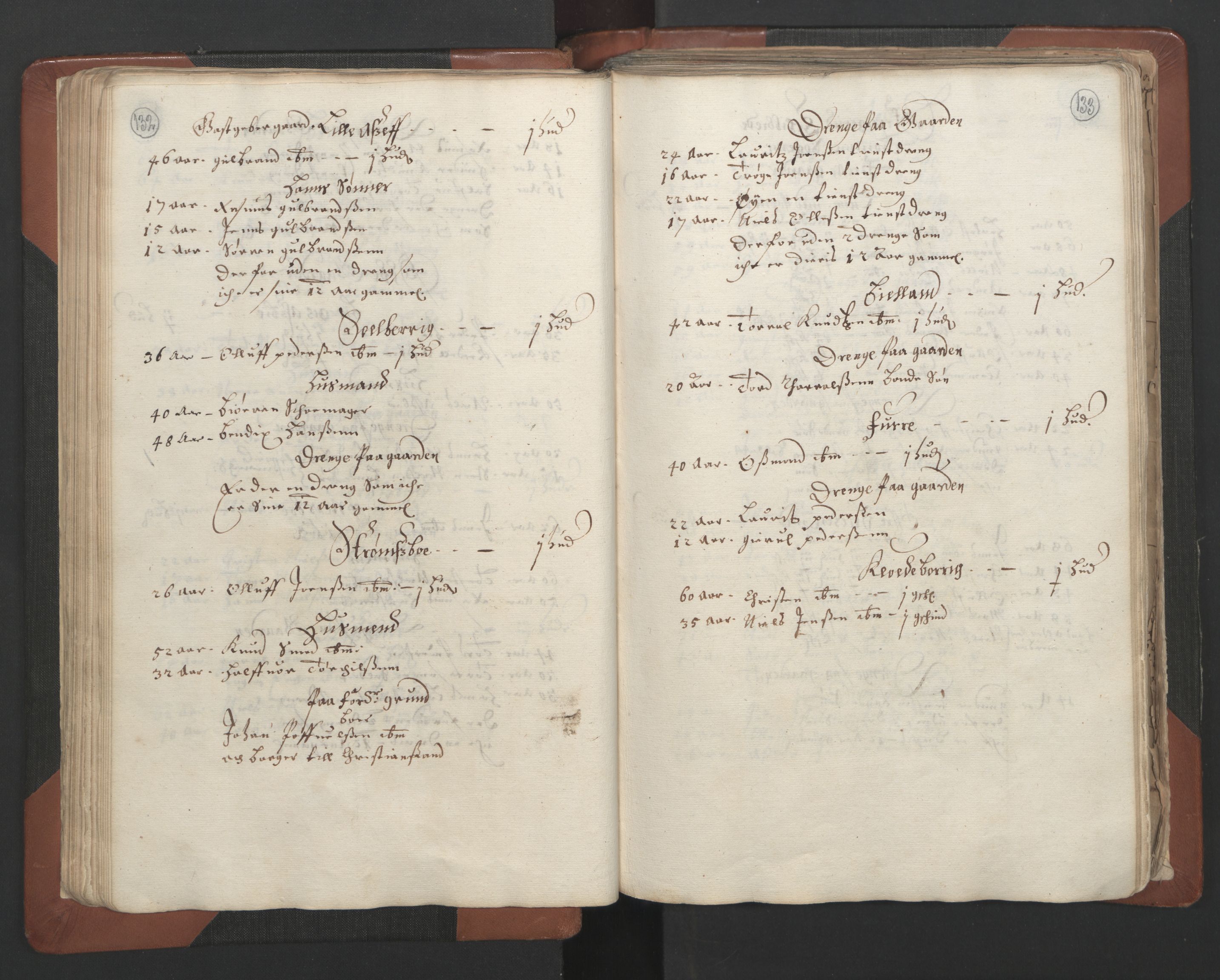 RA, Bailiff's Census 1664-1666, no. 7: Nedenes fogderi, 1664-1666, p. 132-133