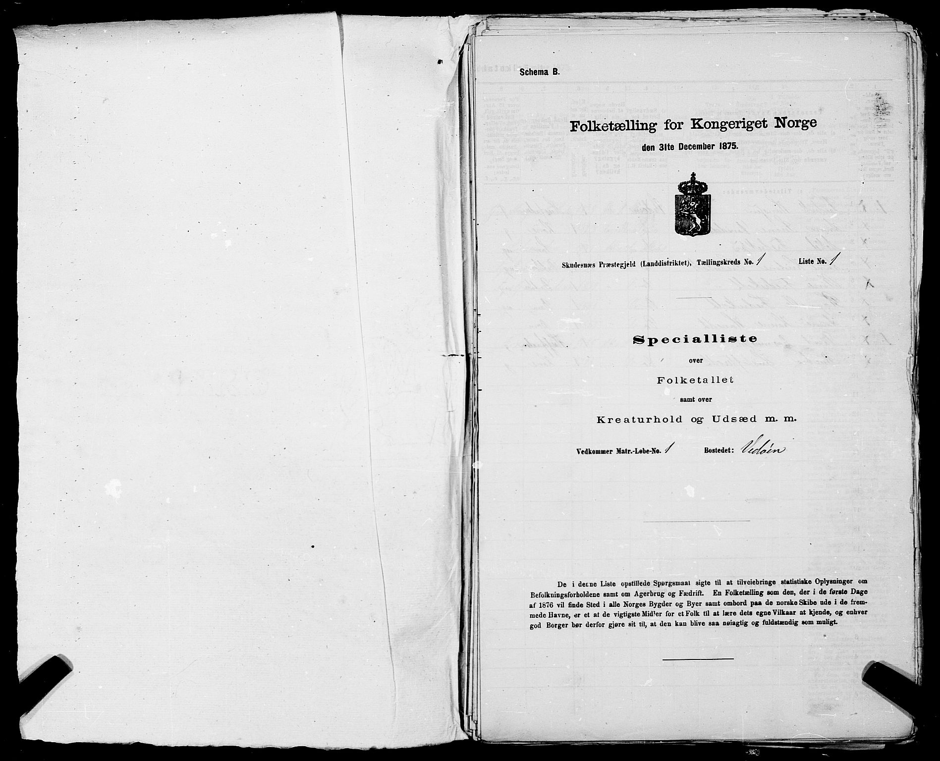 SAST, 1875 census for 1150L Skudenes/Falnes, Åkra og Ferkingstad, 1875, p. 68