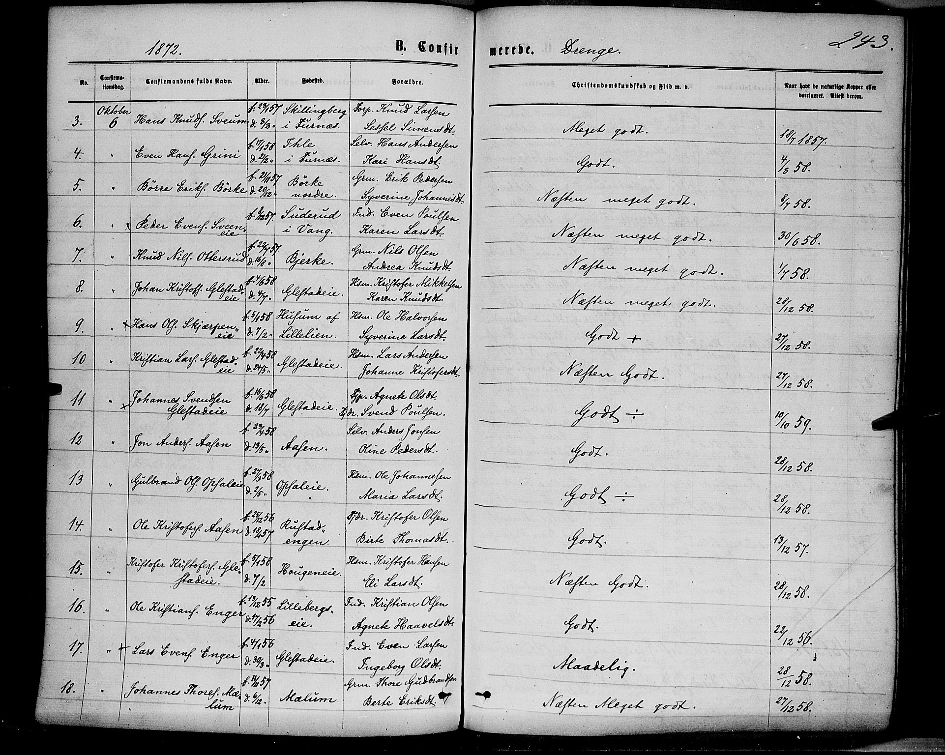 Ringsaker prestekontor, AV/SAH-PREST-014/K/Ka/L0011: Parish register (official) no. 11, 1870-1878, p. 243