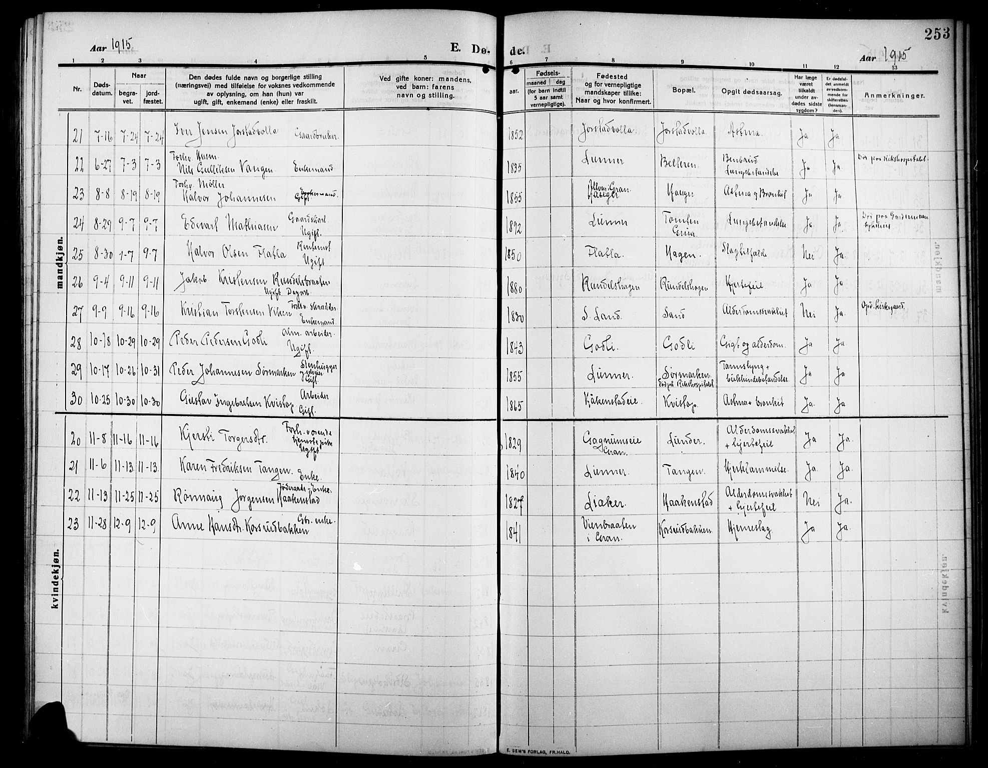 Lunner prestekontor, SAH/PREST-118/H/Ha/Hab/L0001: Parish register (copy) no. 1, 1909-1922, p. 253