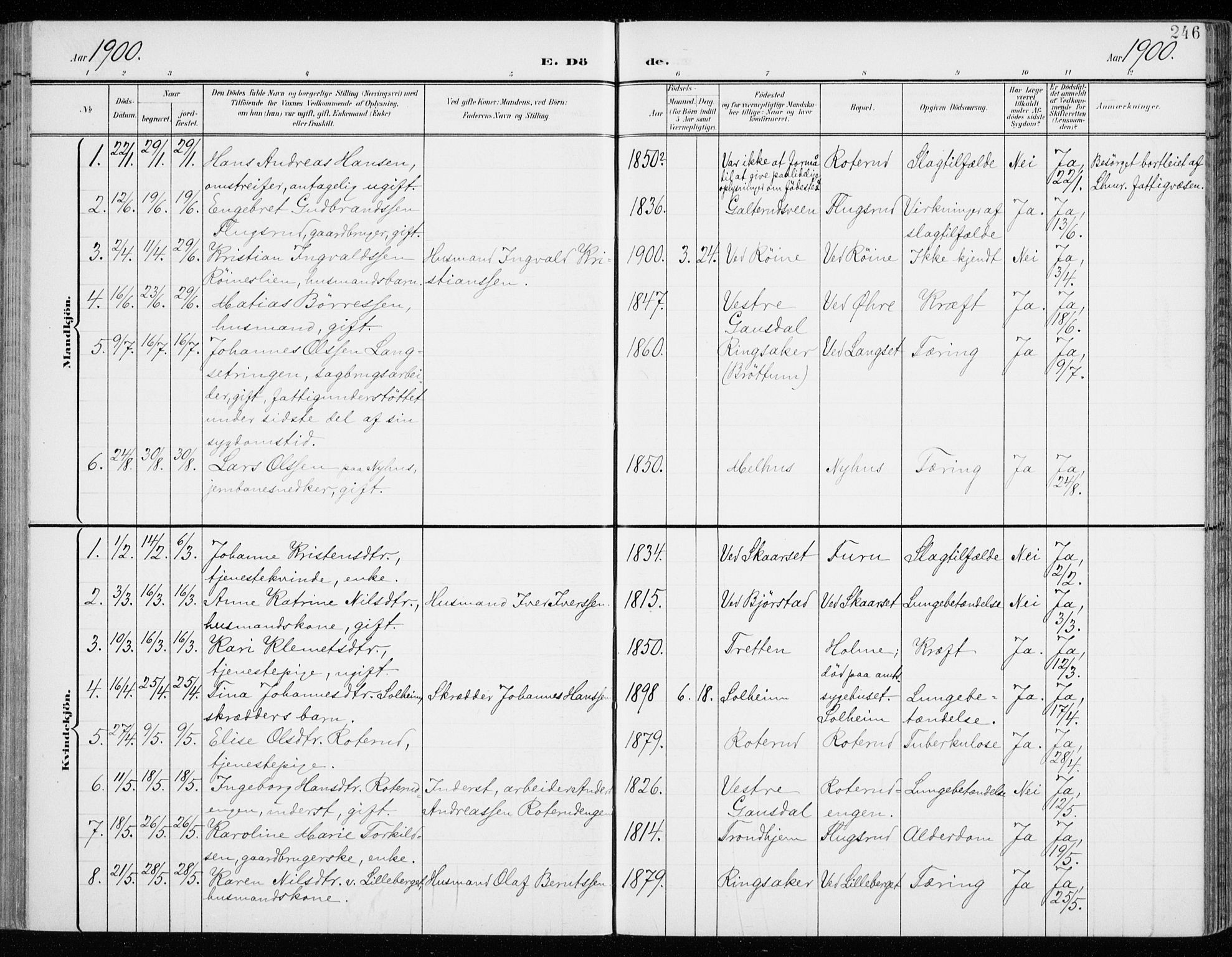 Fåberg prestekontor, SAH/PREST-086/H/Ha/Haa/L0011: Parish register (official) no. 11, 1899-1913, p. 246