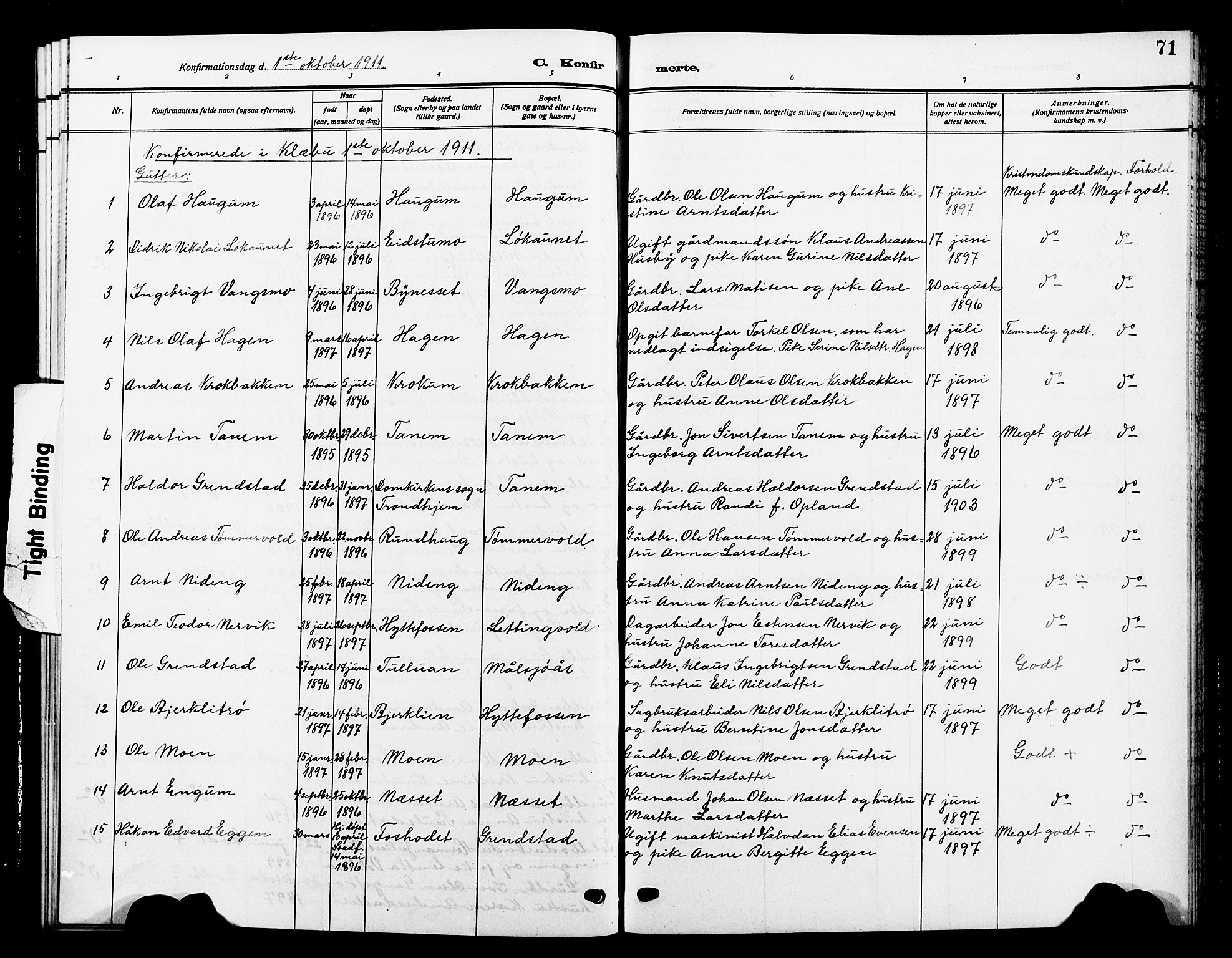 Ministerialprotokoller, klokkerbøker og fødselsregistre - Sør-Trøndelag, SAT/A-1456/618/L0453: Parish register (copy) no. 618C04, 1907-1925, p. 71