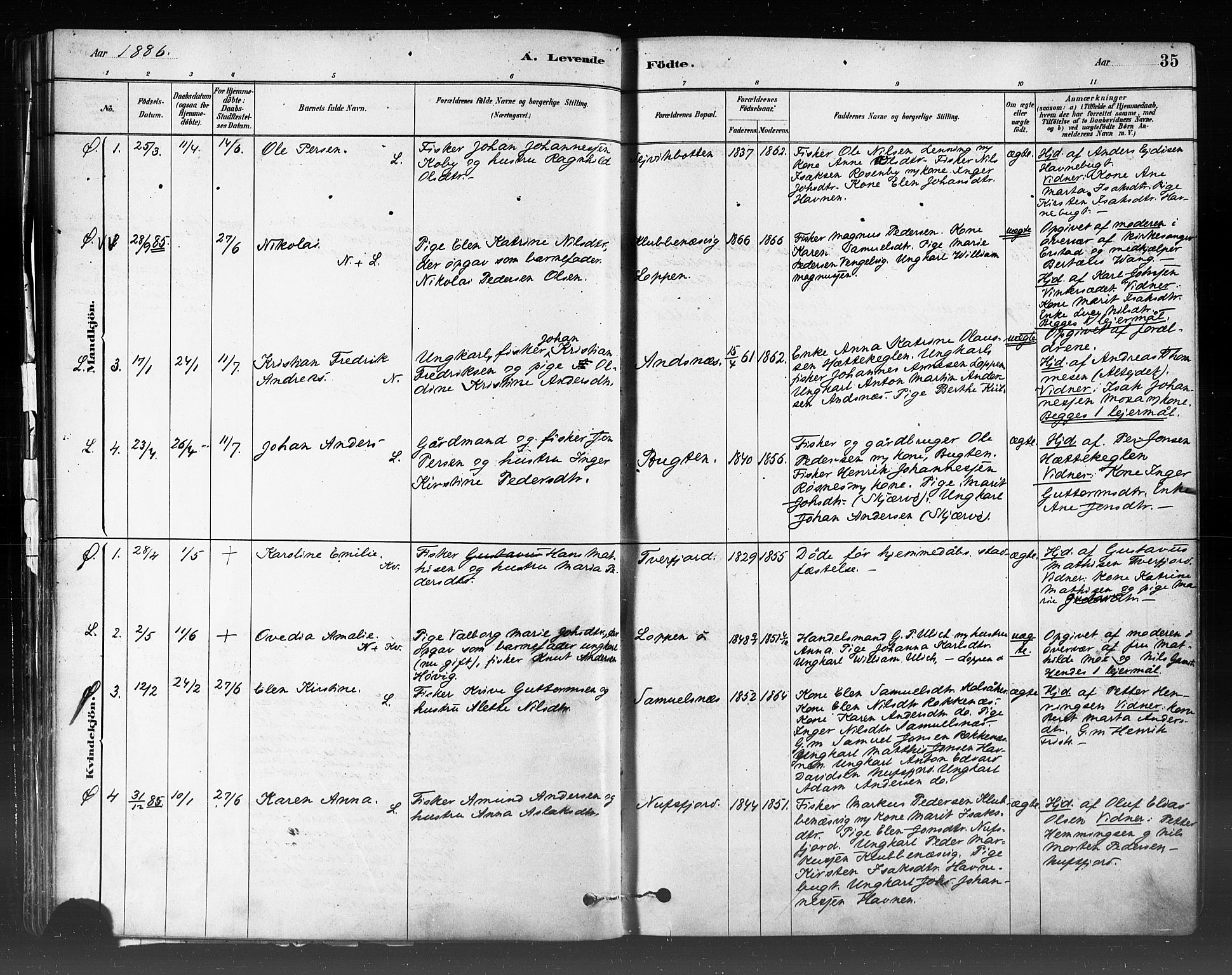 Loppa sokneprestkontor, SATØ/S-1339/H/Ha/L0006kirke: Parish register (official) no. 6, 1879-1895, p. 35