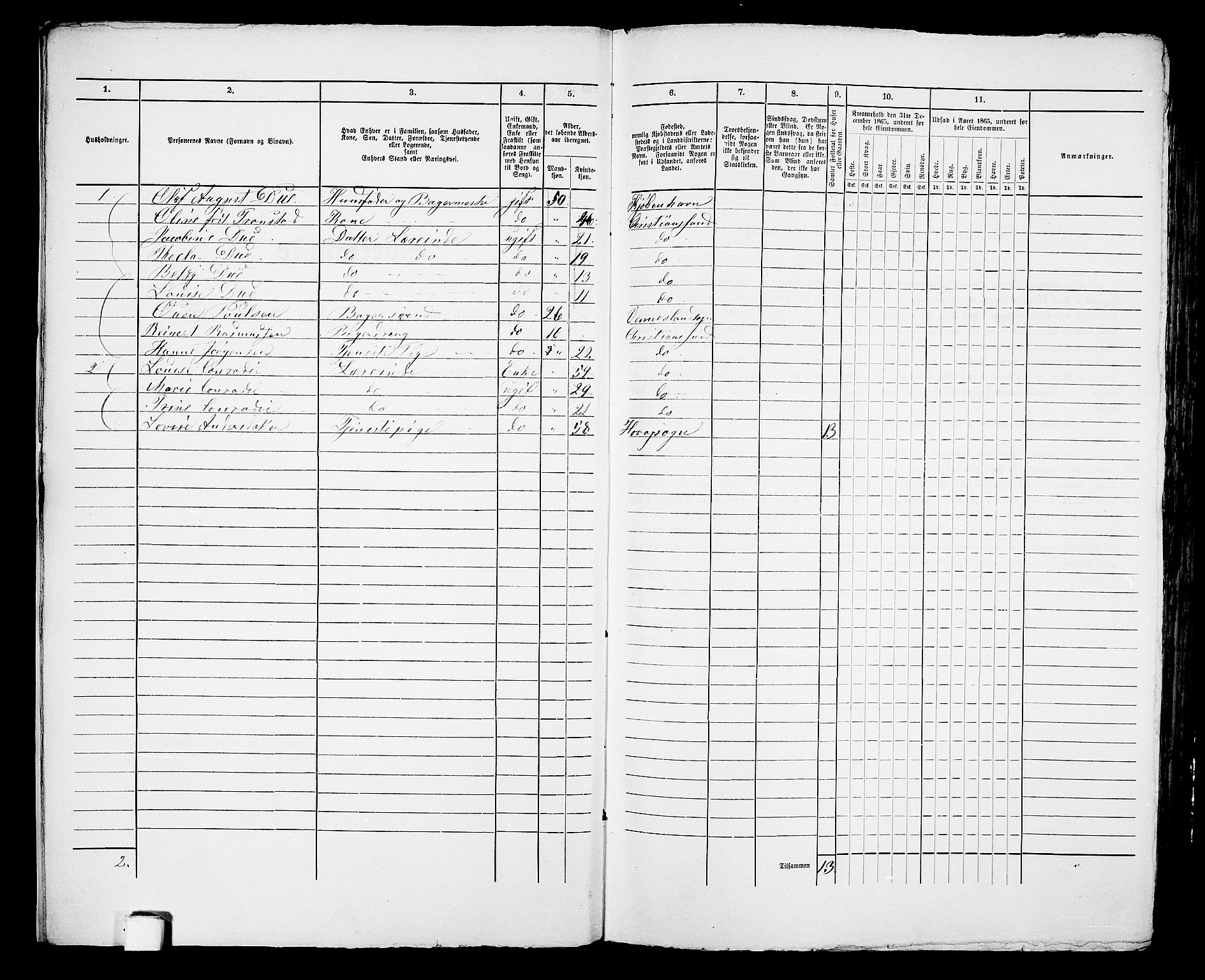 RA, 1865 census for Kristiansand, 1865, p. 533