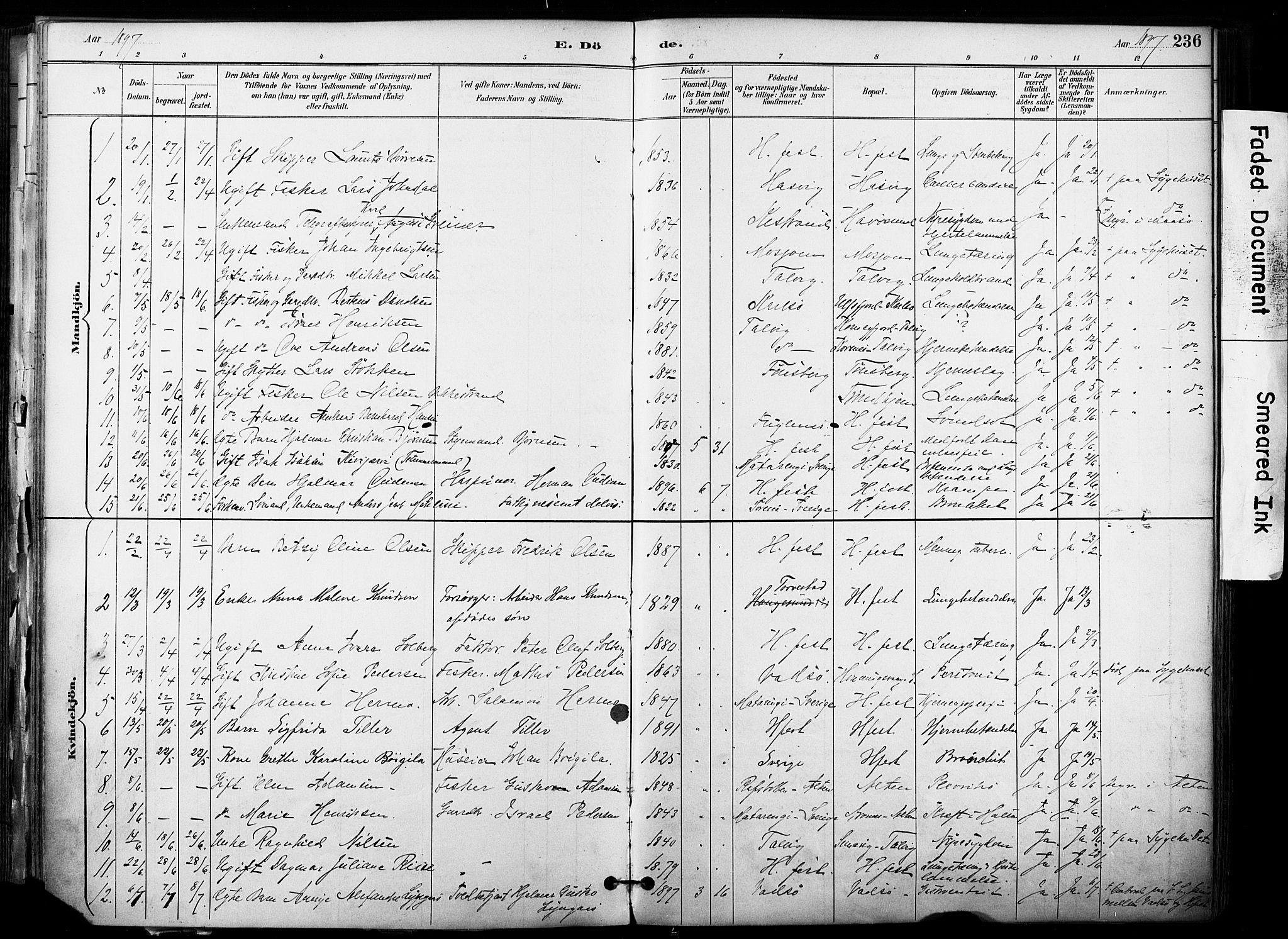 Hammerfest sokneprestkontor, SATØ/S-1347/H/Ha/L0009.kirke: Parish register (official) no. 9, 1889-1897, p. 236