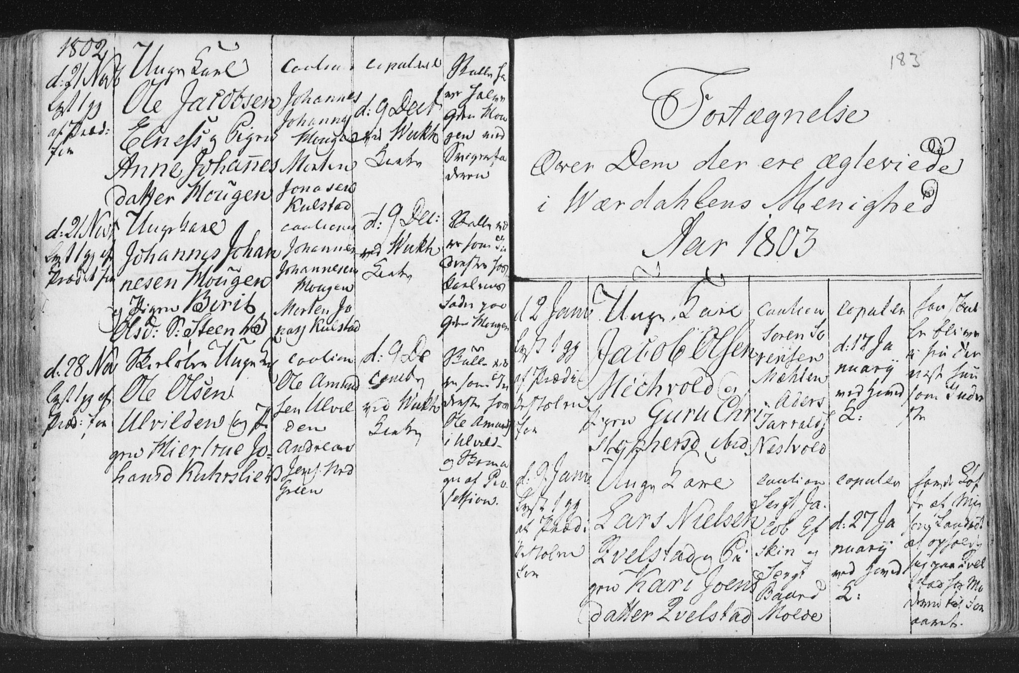 Ministerialprotokoller, klokkerbøker og fødselsregistre - Nord-Trøndelag, SAT/A-1458/723/L0232: Parish register (official) no. 723A03, 1781-1804, p. 183