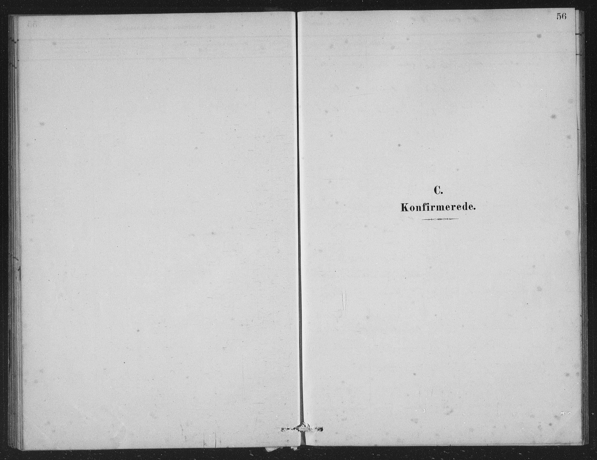 Vossestrand Sokneprestembete, AV/SAB-A-79101/H/Hab: Parish register (copy) no. A 2, 1880-1902, p. 56