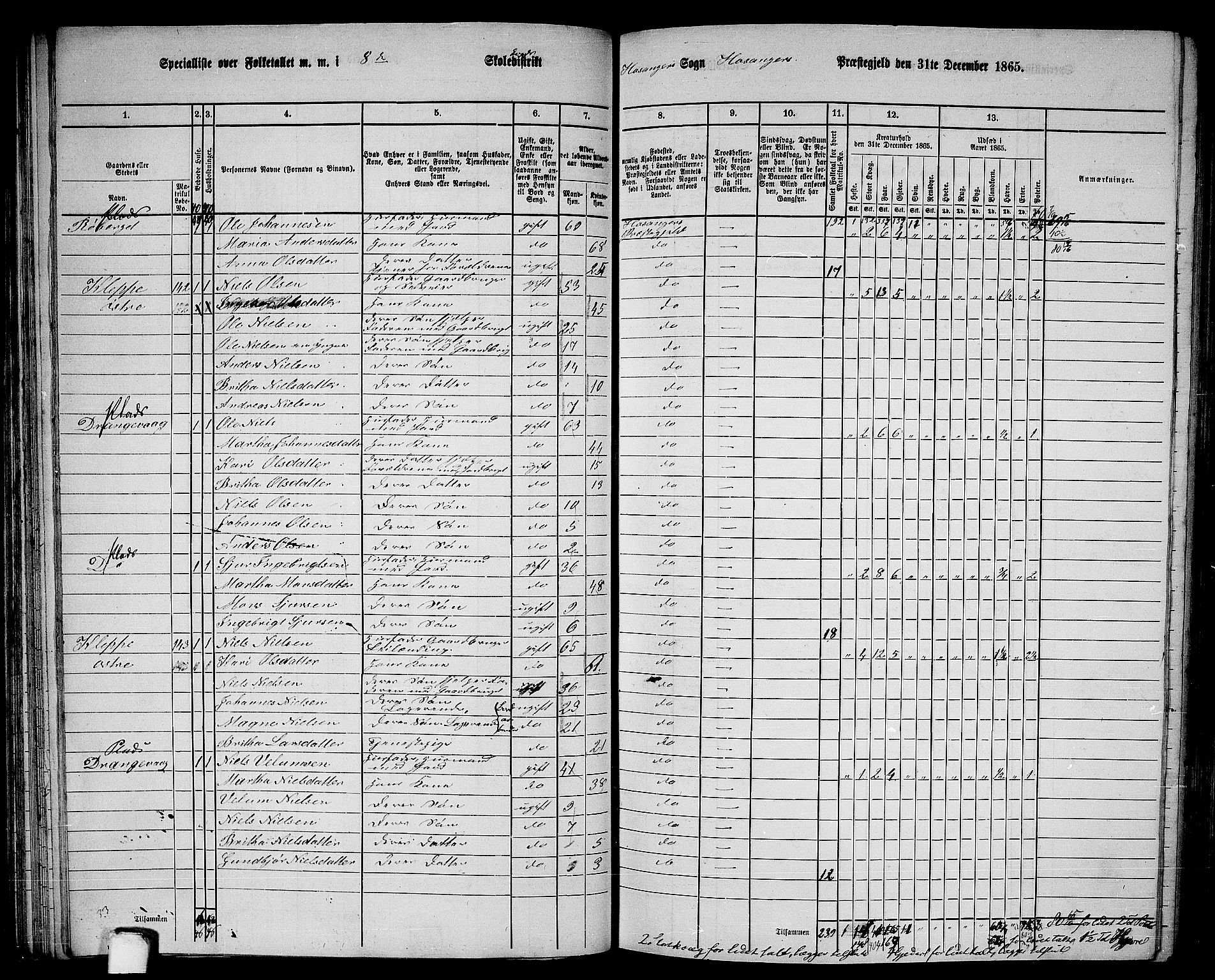 RA, 1865 census for Hosanger, 1865, p. 67