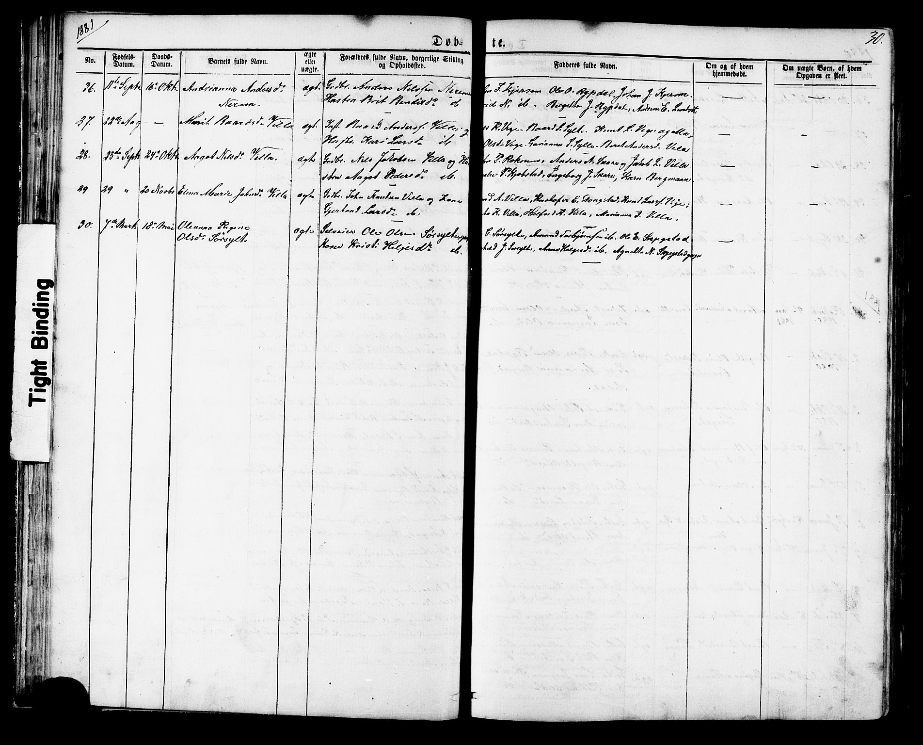 Ministerialprotokoller, klokkerbøker og fødselsregistre - Møre og Romsdal, AV/SAT-A-1454/541/L0547: Parish register (copy) no. 541C02, 1867-1921, p. 30