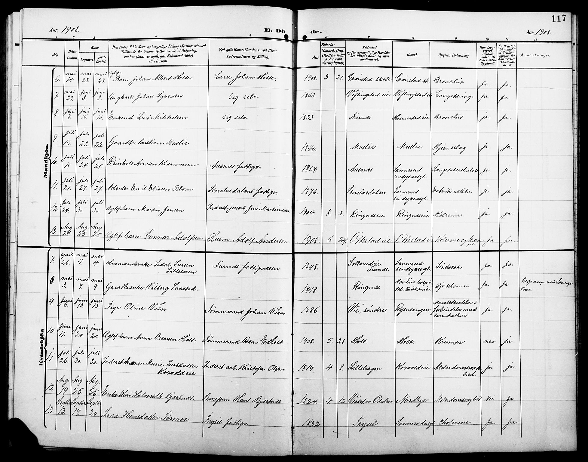 Stange prestekontor, AV/SAH-PREST-002/L/L0013: Parish register (copy) no. 13, 1906-1915, p. 117