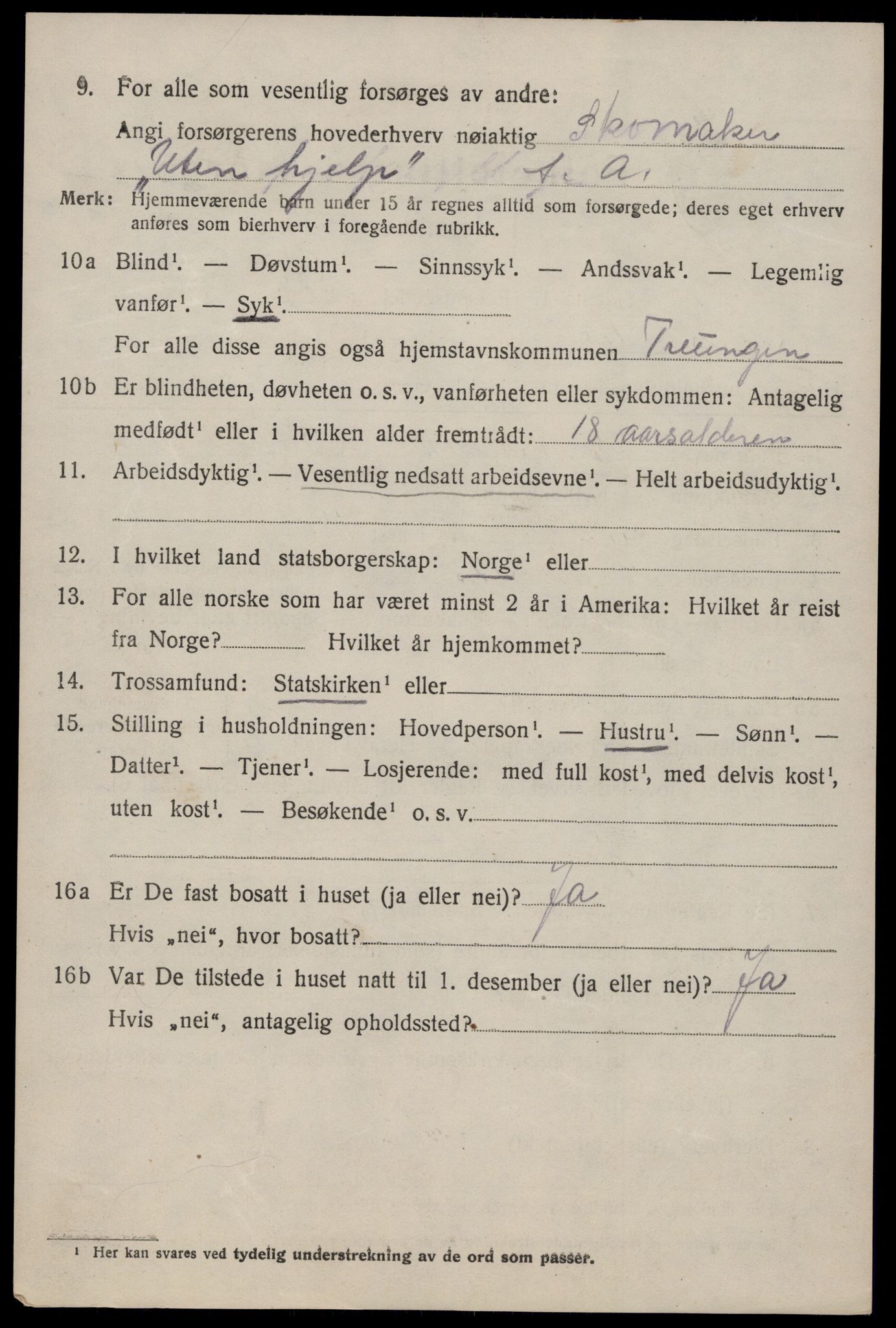 SAKO, 1920 census for Nissedal, 1920, p. 3036