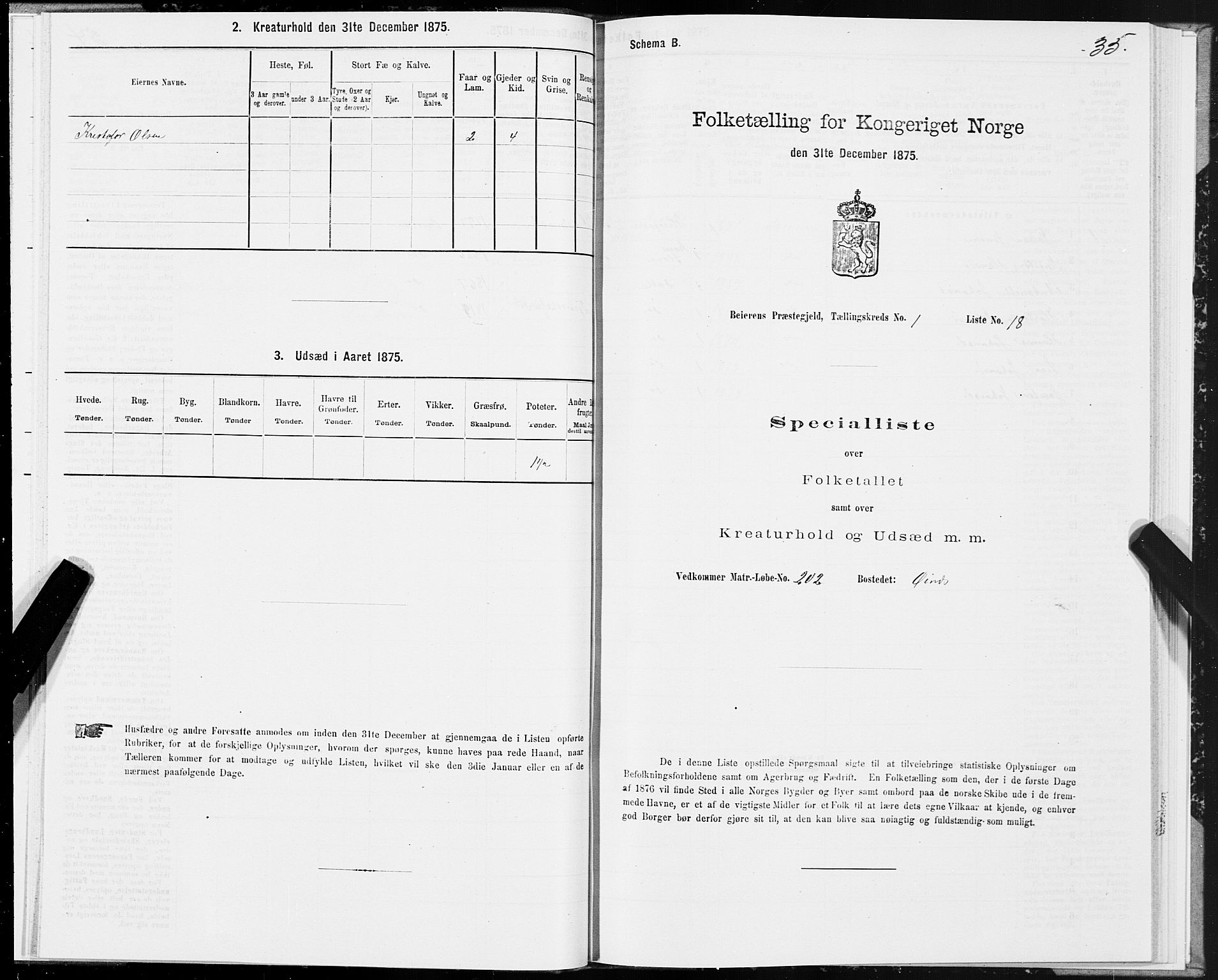 SAT, 1875 census for 1839P Beiarn, 1875, p. 1035