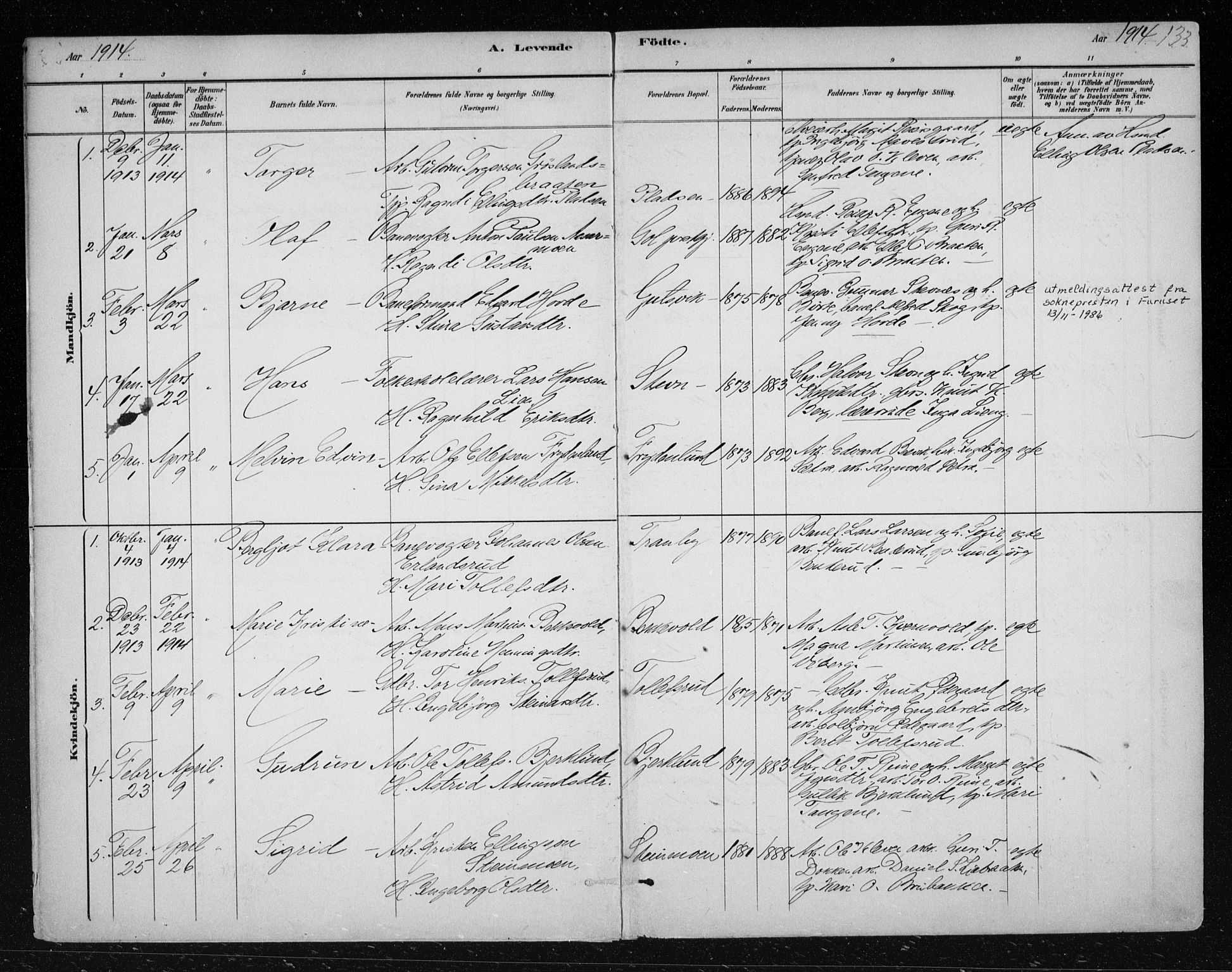 Nes kirkebøker, SAKO/A-236/F/Fa/L0012: Parish register (official) no. 12, 1881-1917, p. 133