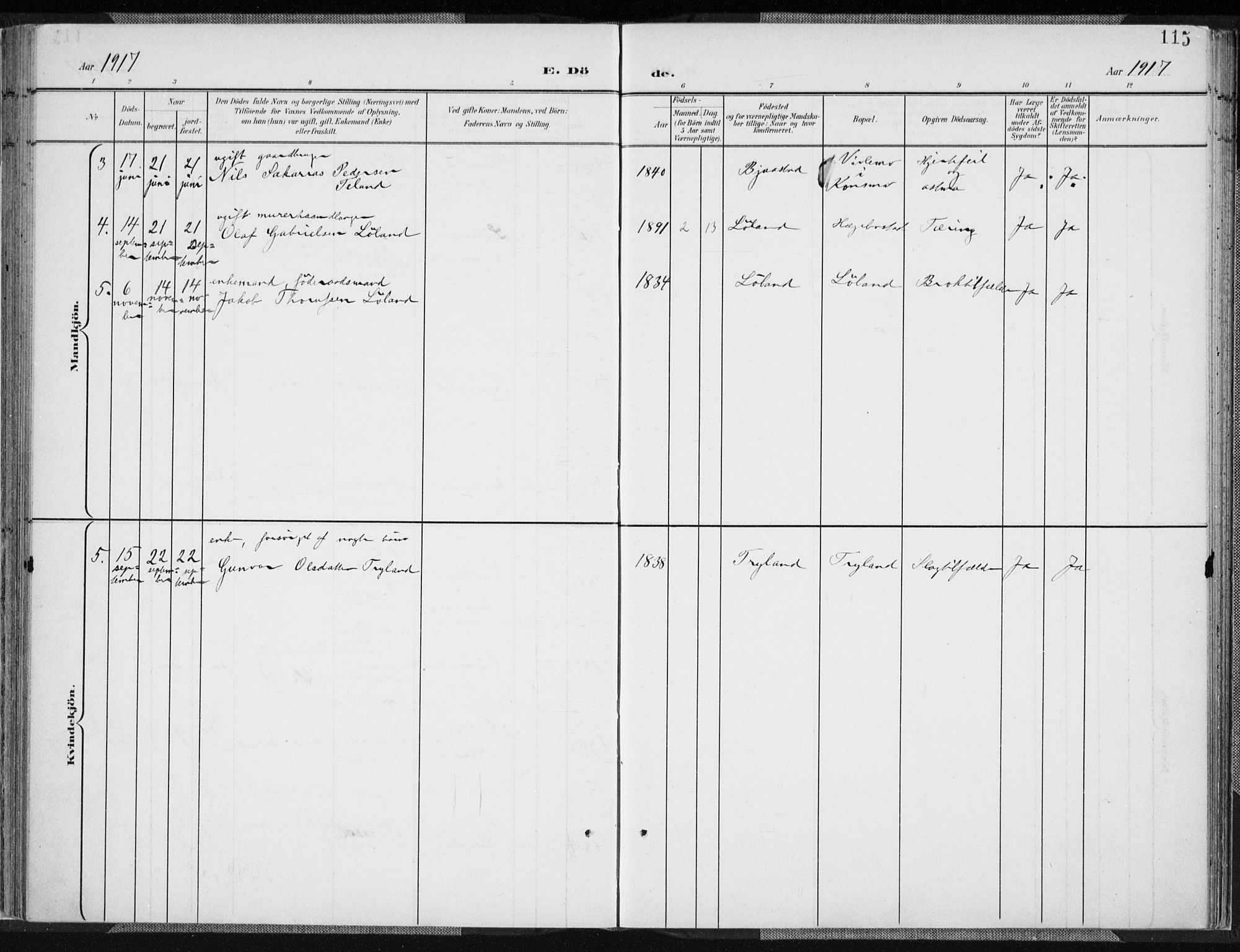 Nord-Audnedal sokneprestkontor, AV/SAK-1111-0032/F/Fa/Fab/L0004: Parish register (official) no. A 4, 1901-1917, p. 115