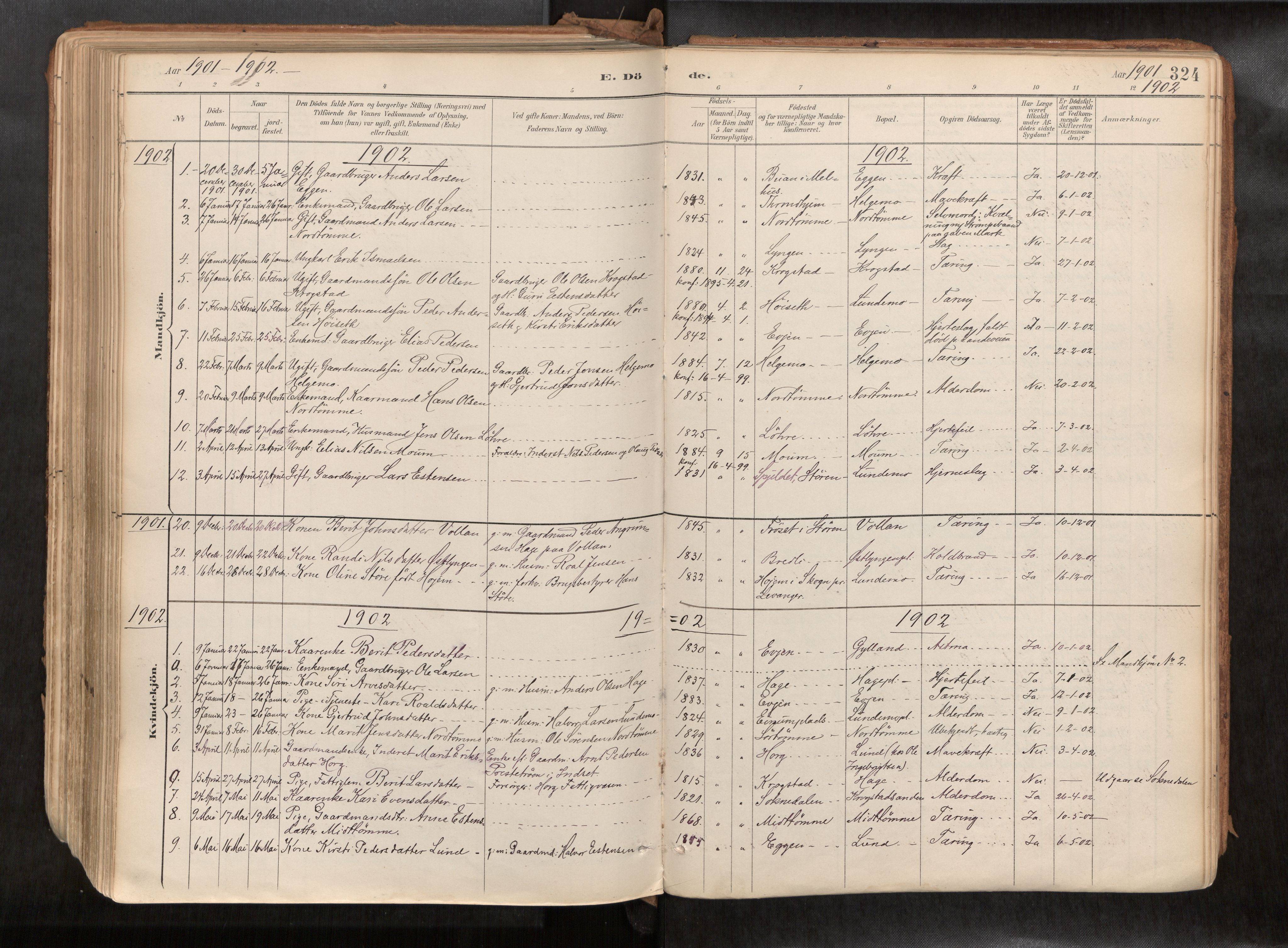 Ministerialprotokoller, klokkerbøker og fødselsregistre - Sør-Trøndelag, SAT/A-1456/692/L1105b: Parish register (official) no. 692A06, 1891-1934, p. 324