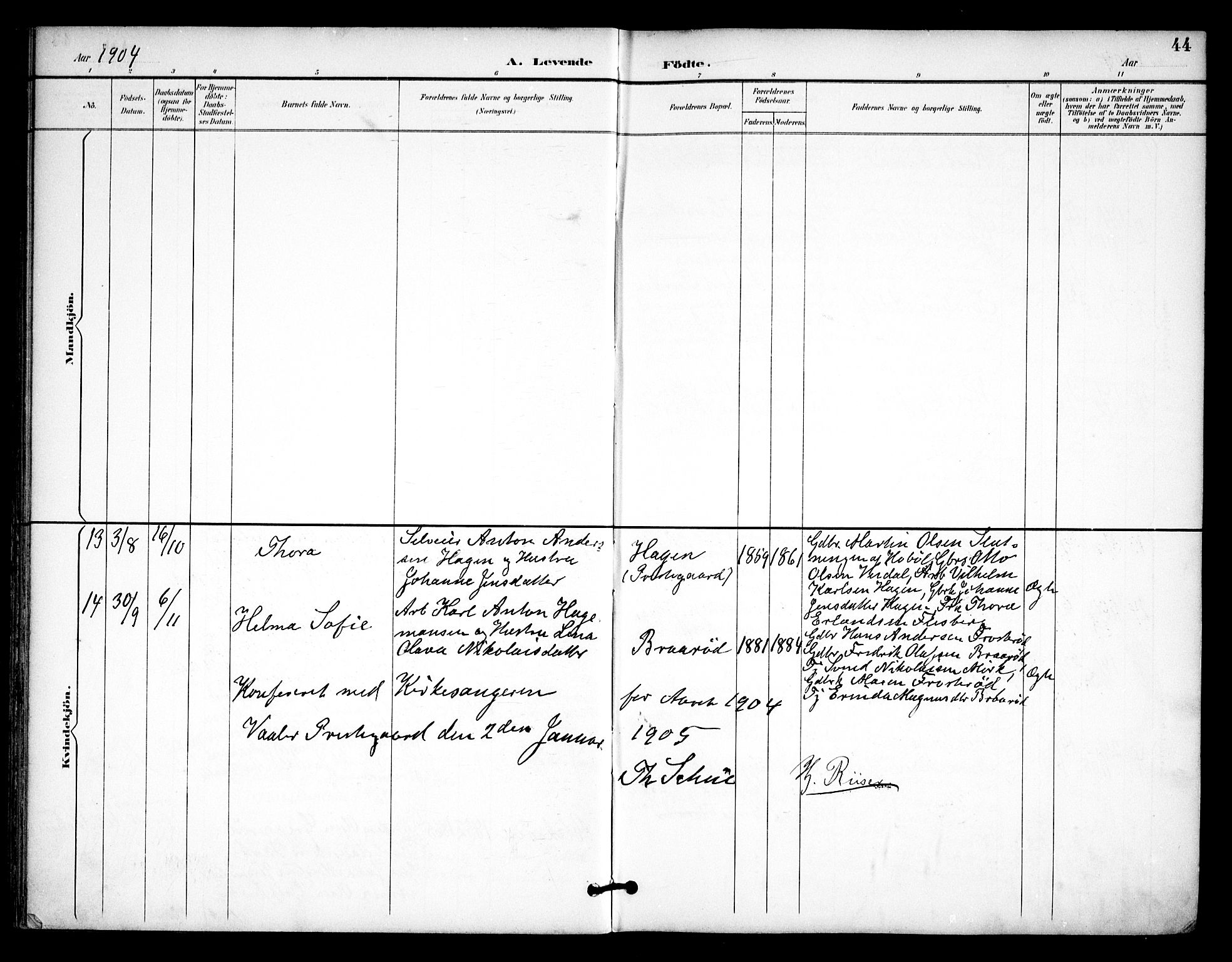 Våler prestekontor Kirkebøker, AV/SAO-A-11083/F/Fa/L0011: Parish register (official) no. I 11, 1893-1909, p. 44