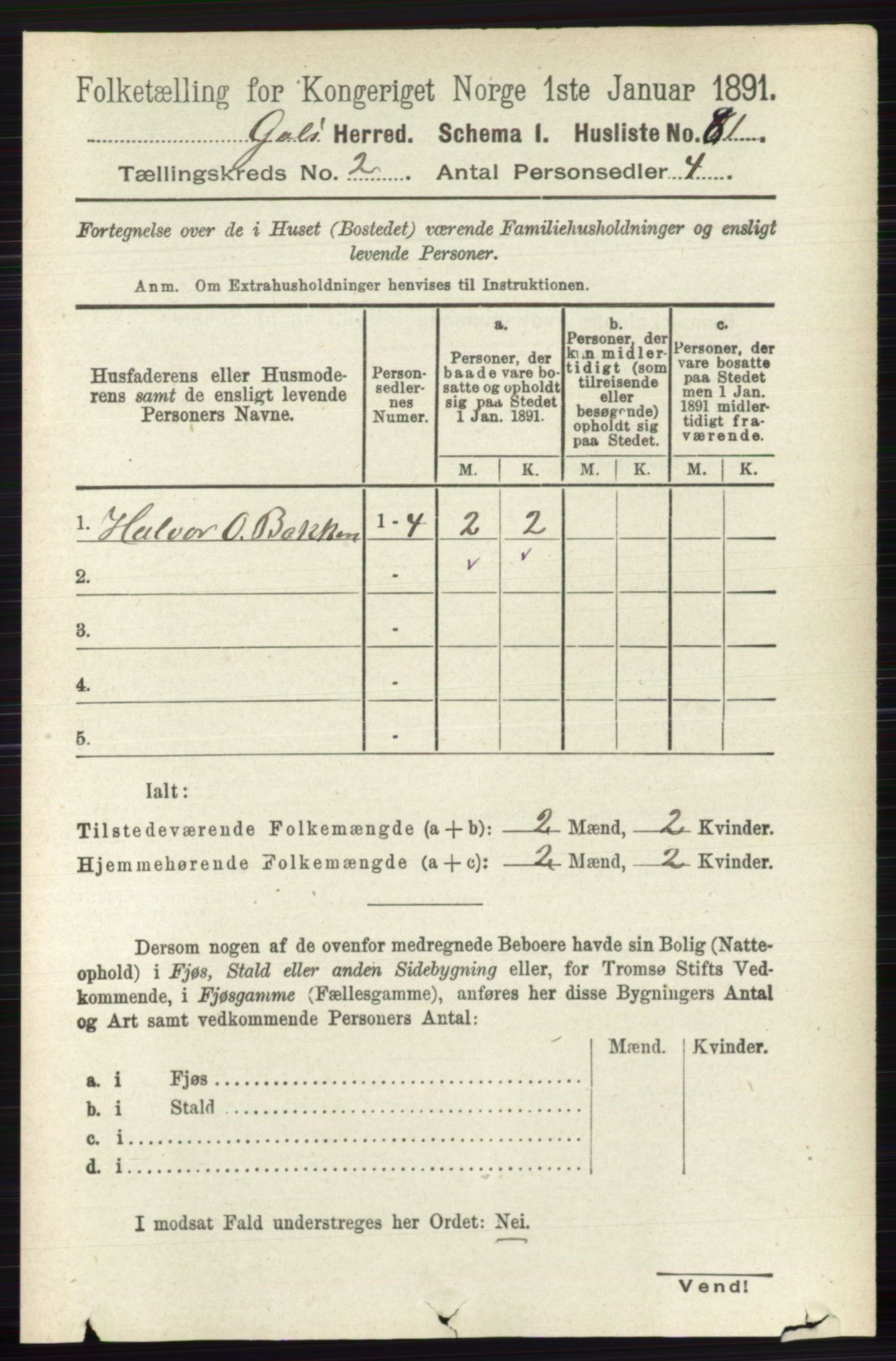 RA, 1891 census for 0617 Gol og Hemsedal, 1891, p. 706