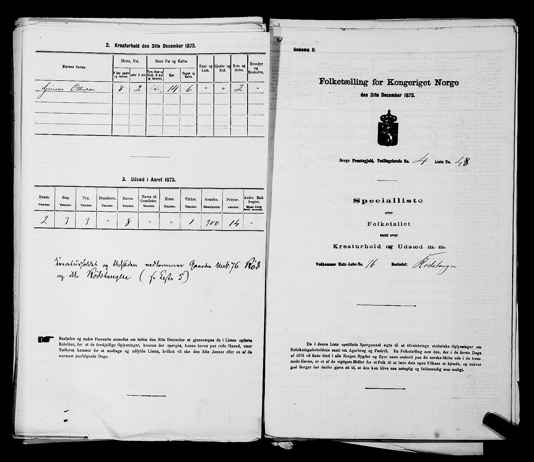 RA, 1875 census for 0116P Berg, 1875, p. 618